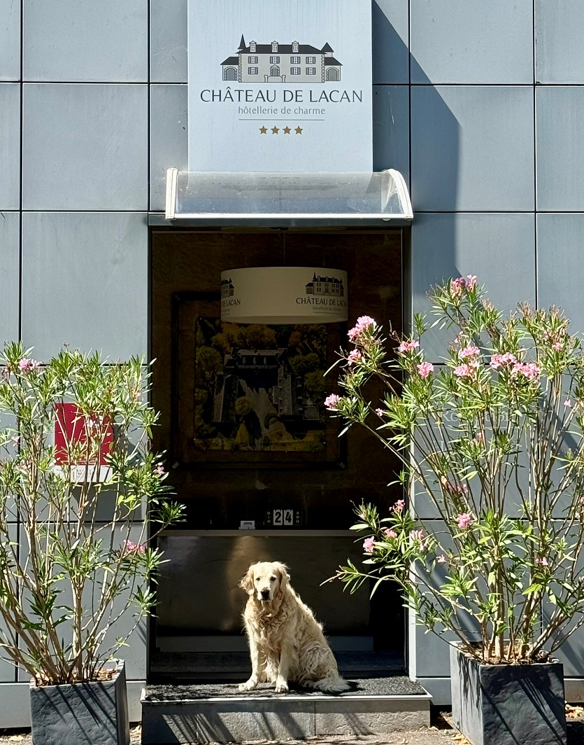Hôtel Château de Lacan, Brive-la-Gaillarde - photo 29
