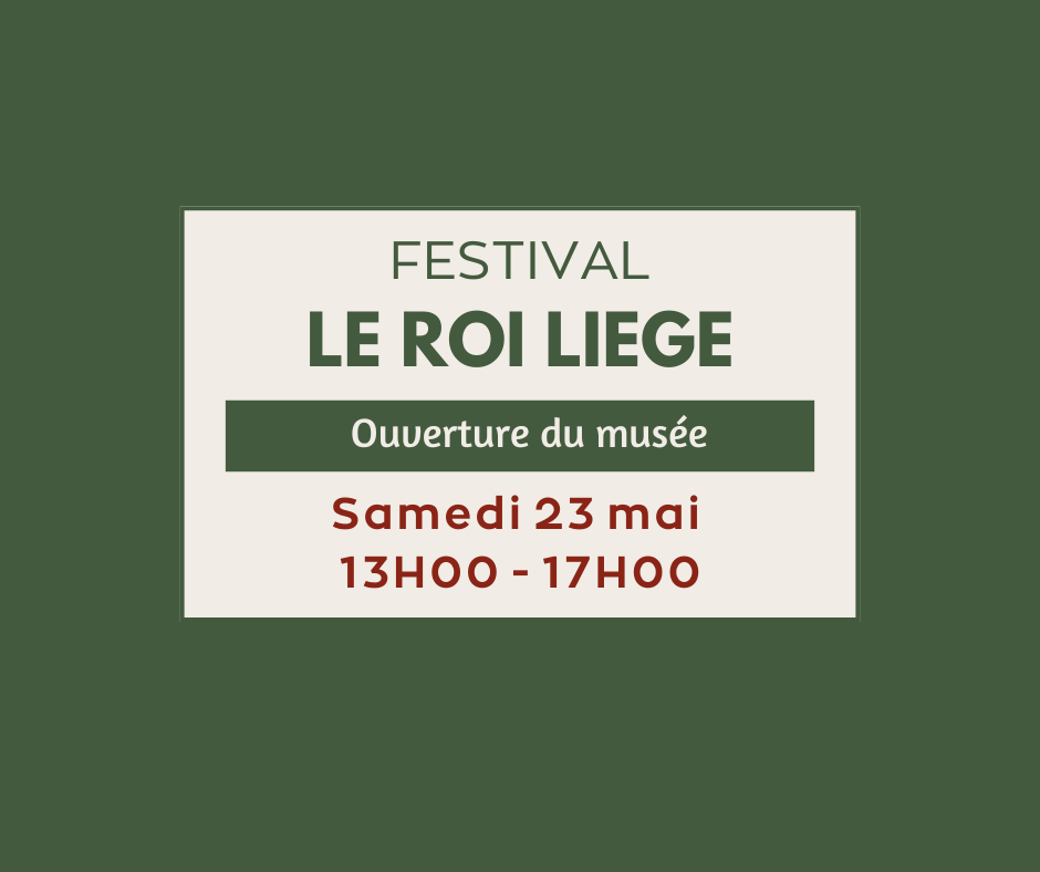 Festival le roi liège, Mézin - photo 3