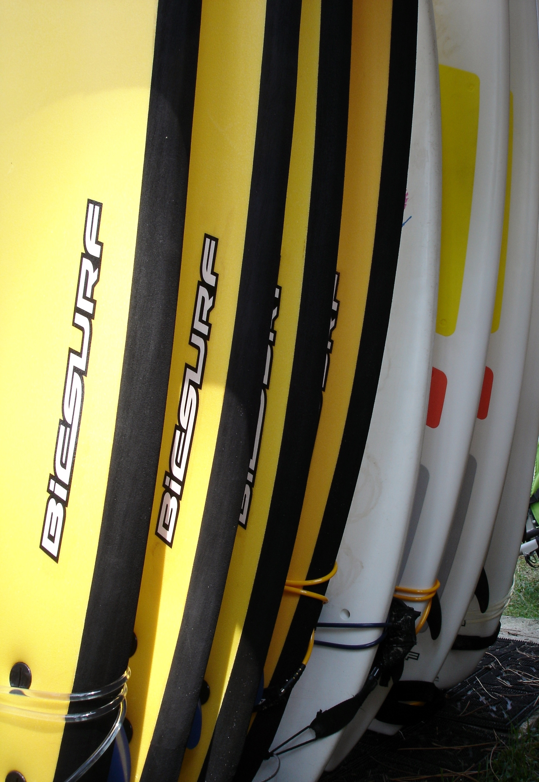 Oxygen Cycles - Location de vélos