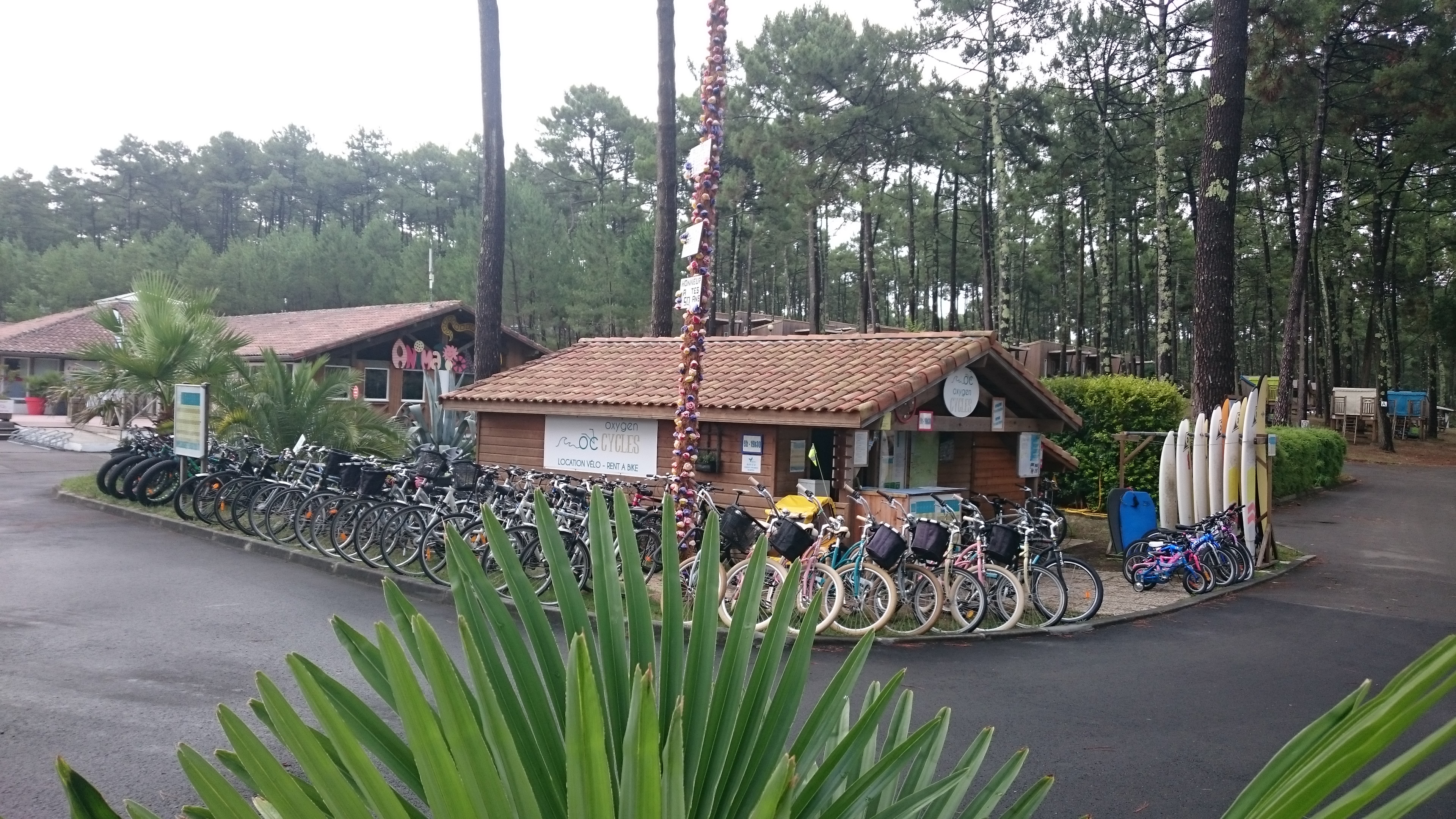 Oxygen Cycles - Location de vélos - photo 2