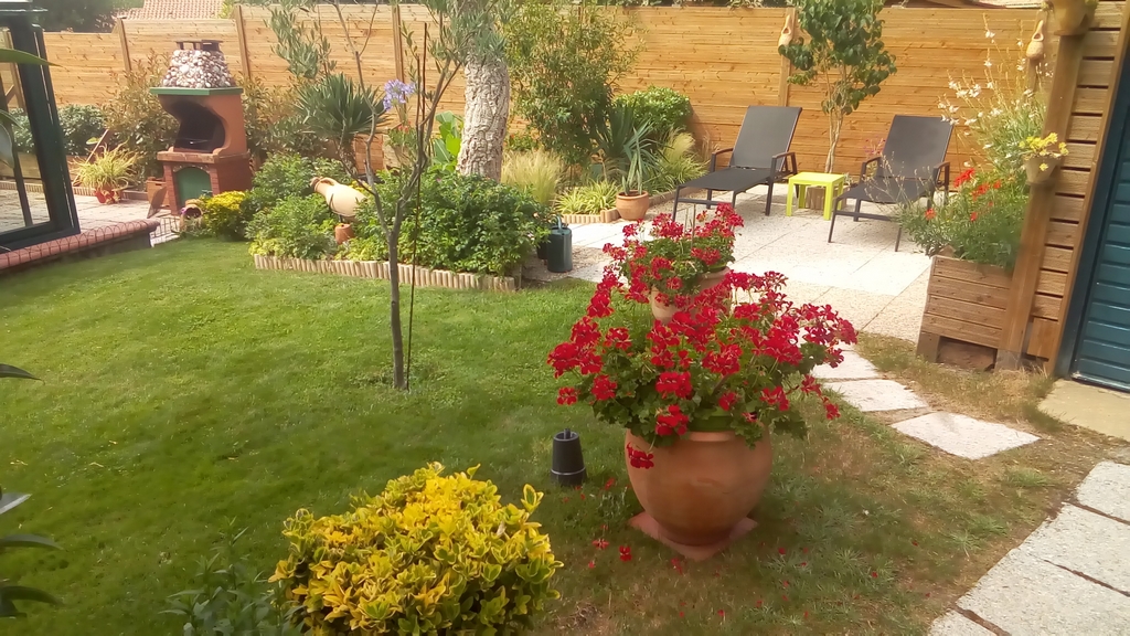 Maison Limargue, Moliets-et-Maa - photo 5