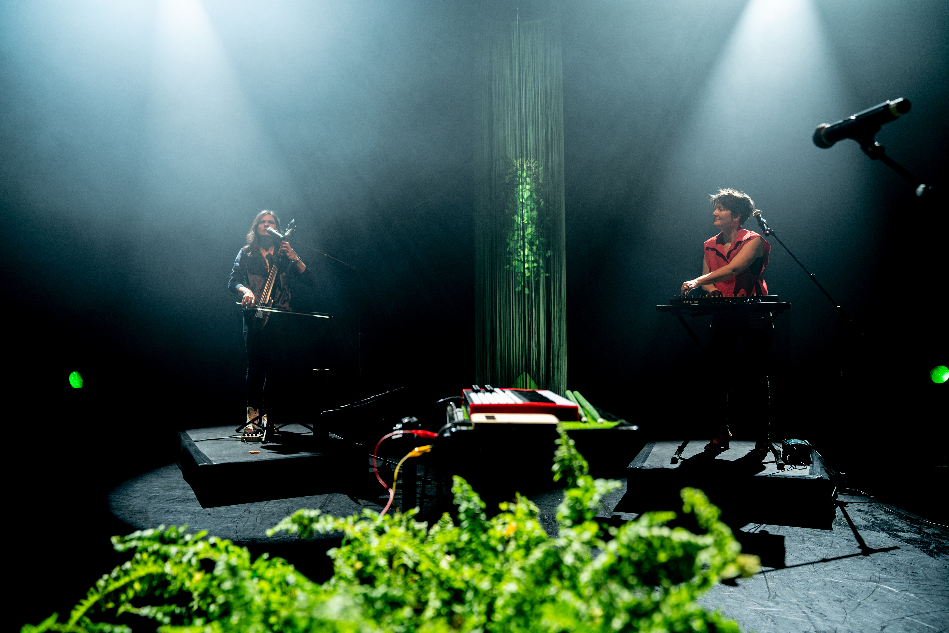 Concert - Forêts