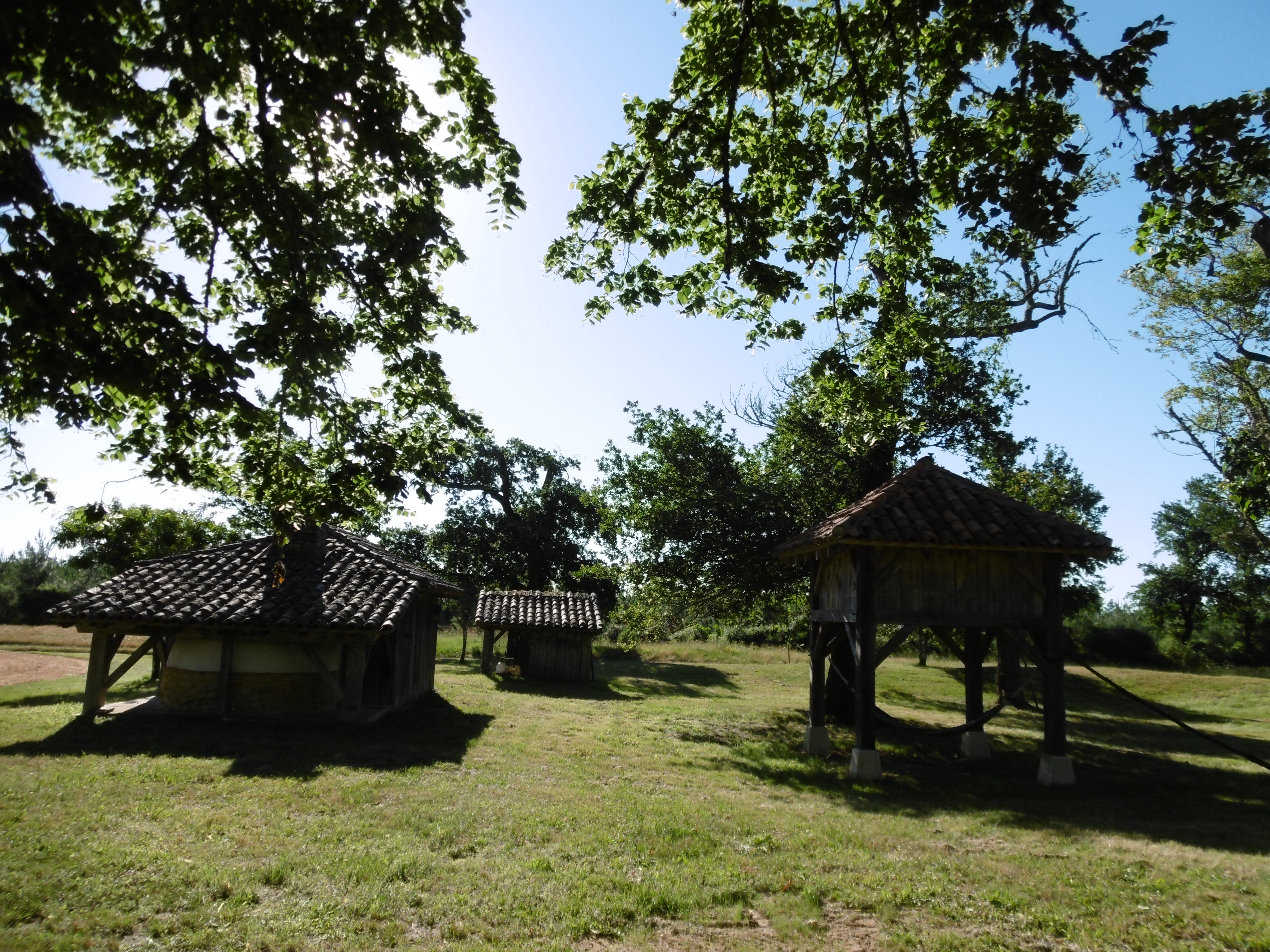 Lou Bin, Canenx-et-Réaut - photo 4