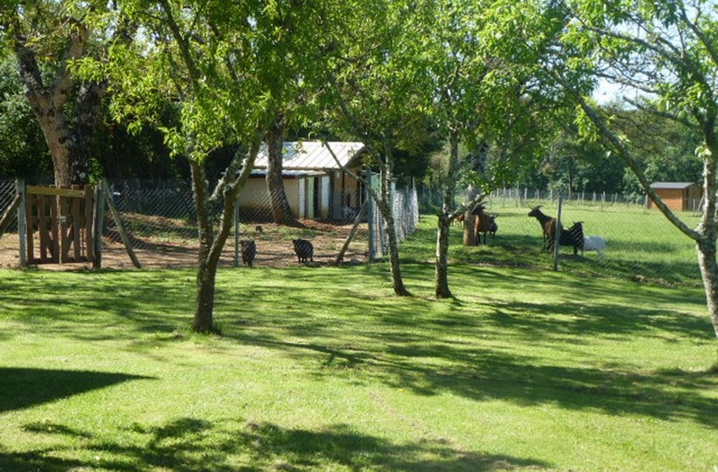 Amarie, Saint-Romain-de-Monpazier - photo 9