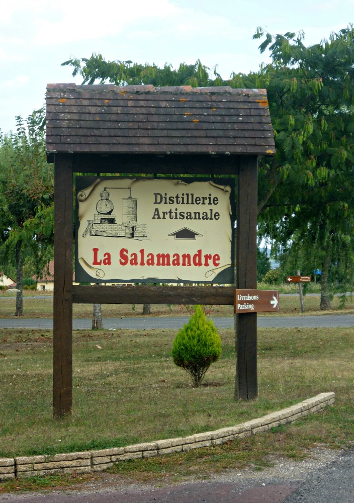 Distillerie la Salamandre — photo 2