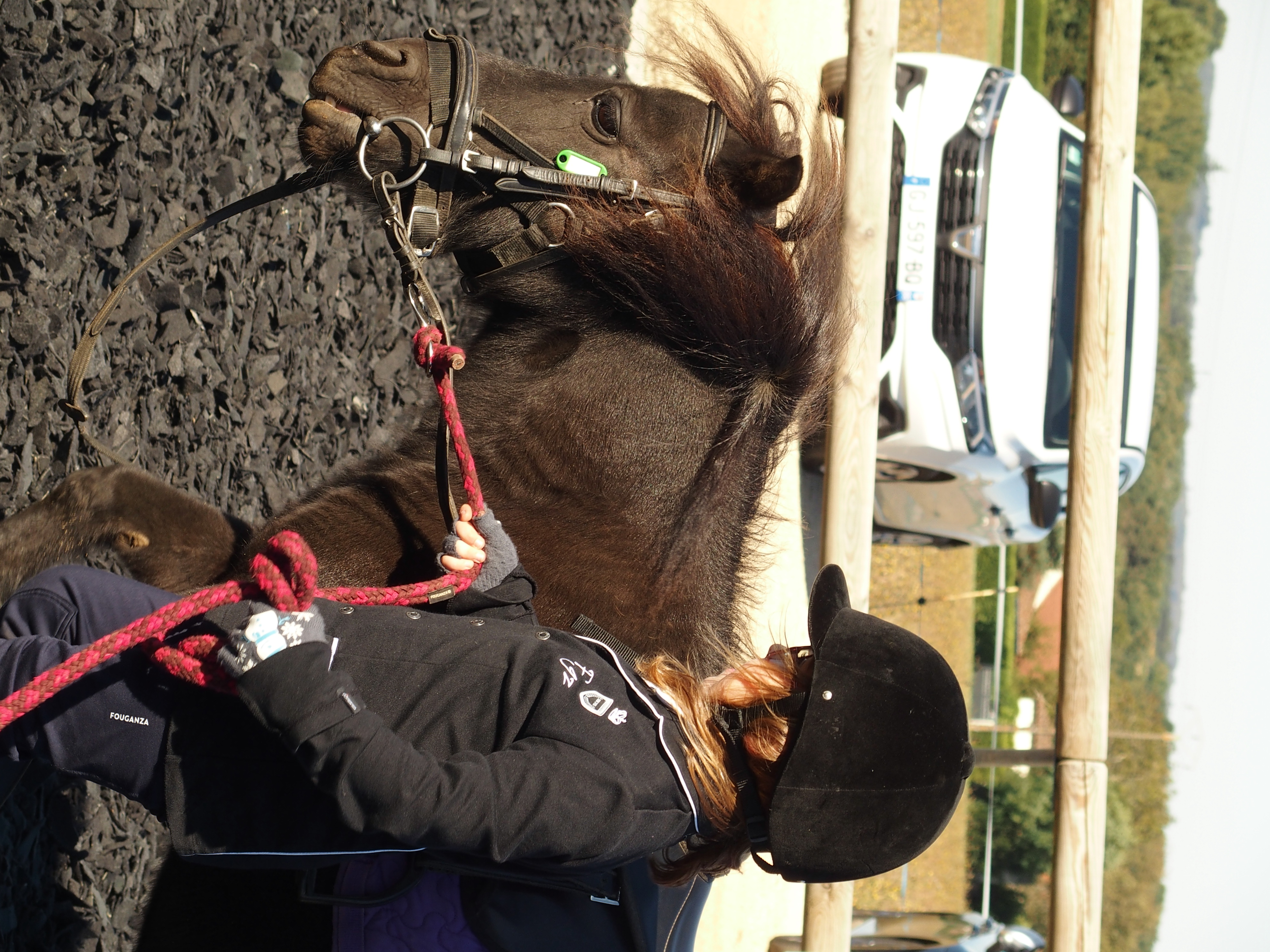 Poney Club des Retrouvailles — photo 3