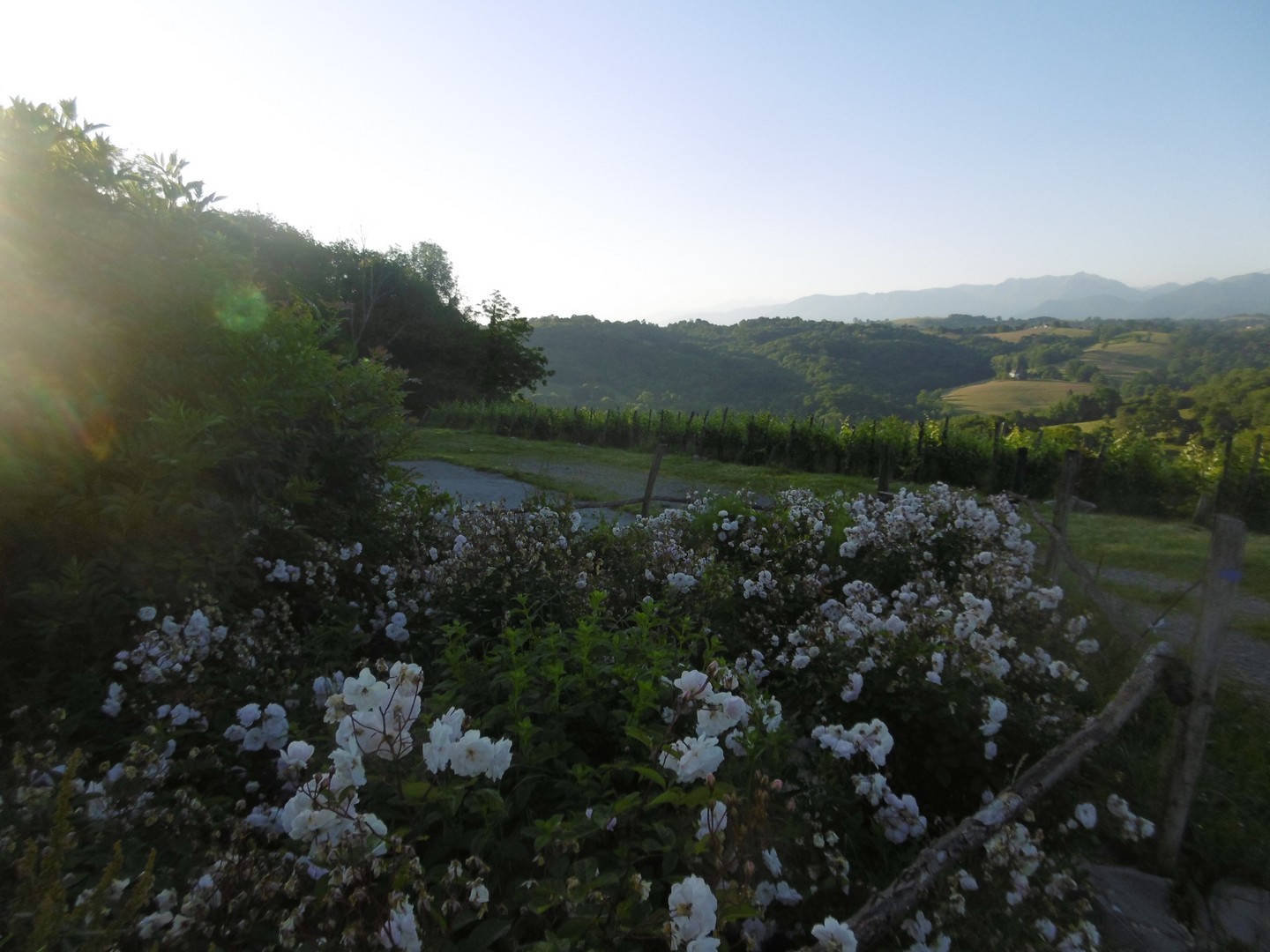 Aire de camping-car- Stationnement - Domaine Latapy - photo 2
