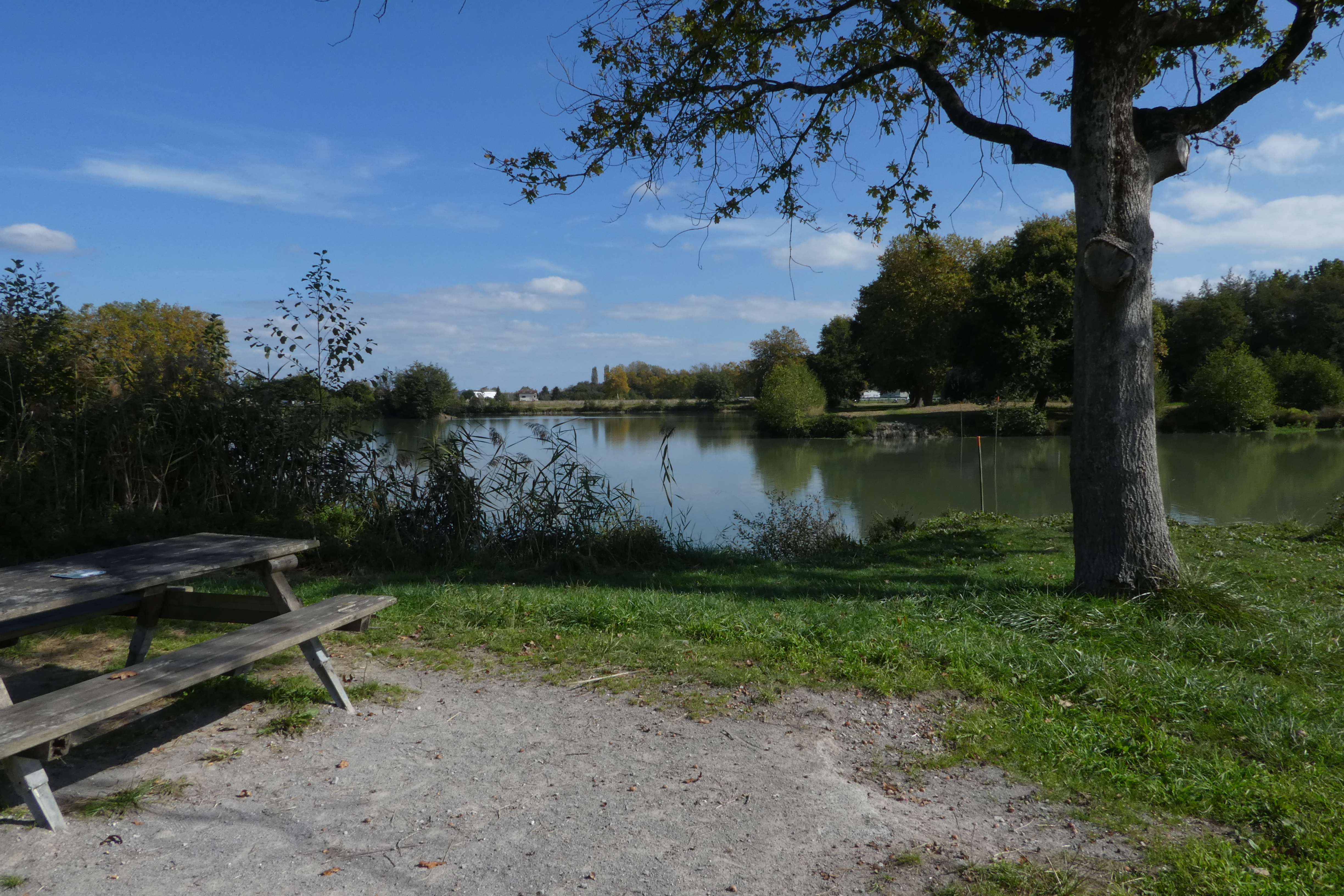 Balade à Roulettes n°50 : Le lac d'Arbéou à Lahonce, Lahonce