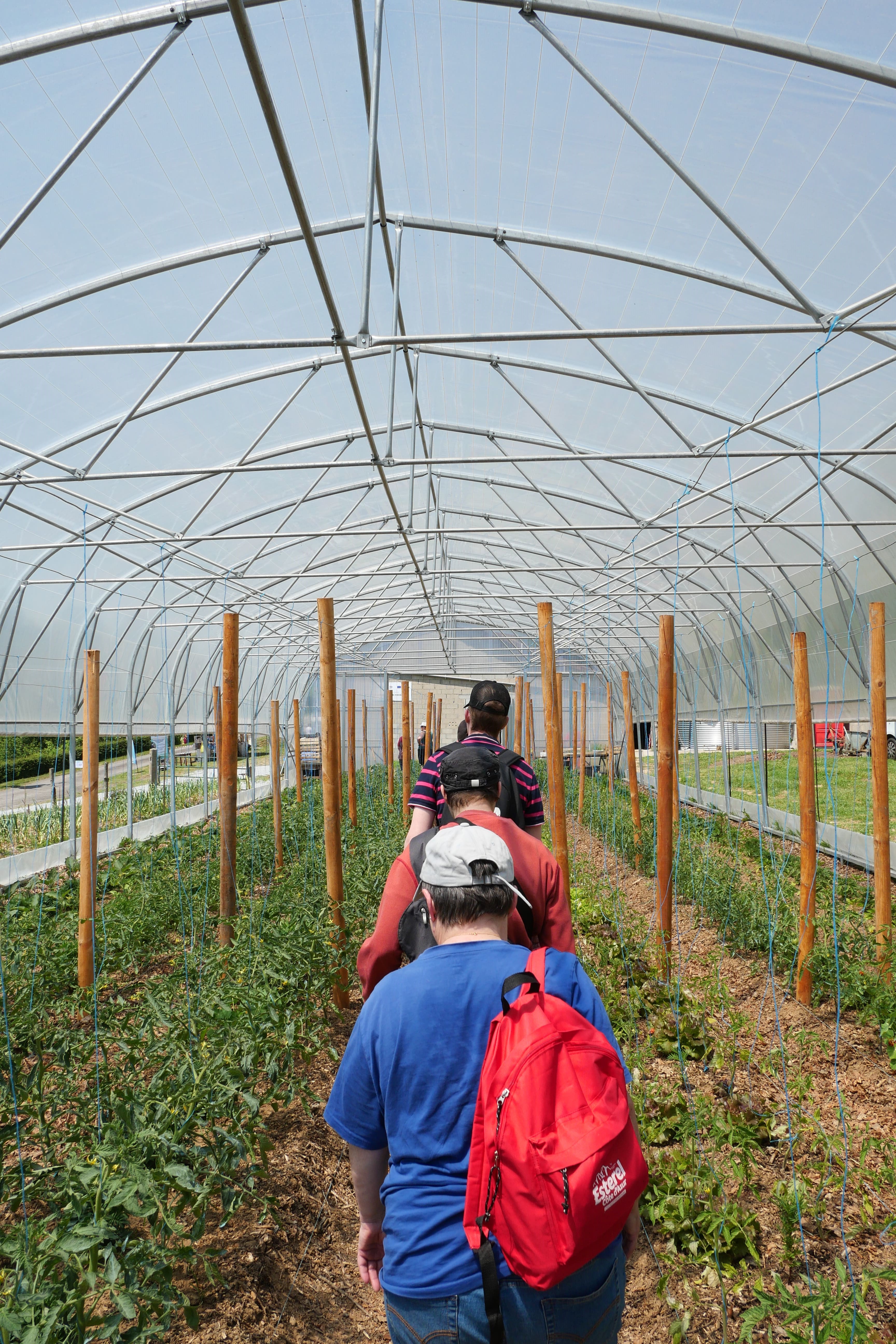 Les Jardins du Moulin - Fondation Delta Plus — photo 2