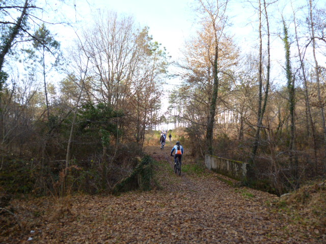 A Arjuzanx, la piste du lac - photo 2