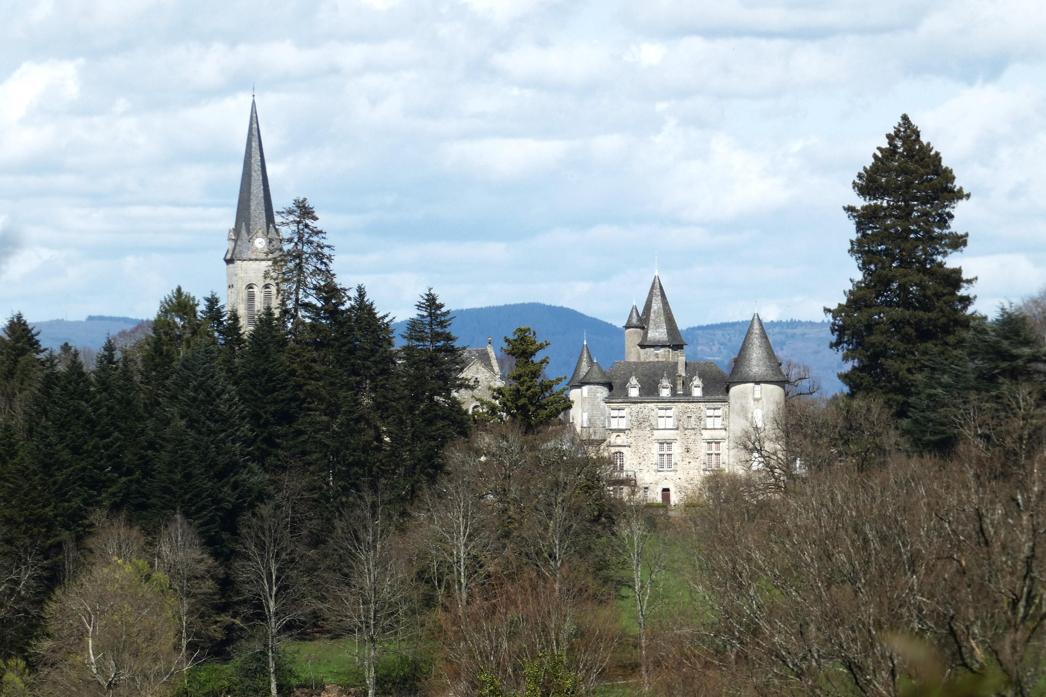 Trefle des étangs, Seilhac - photo 5