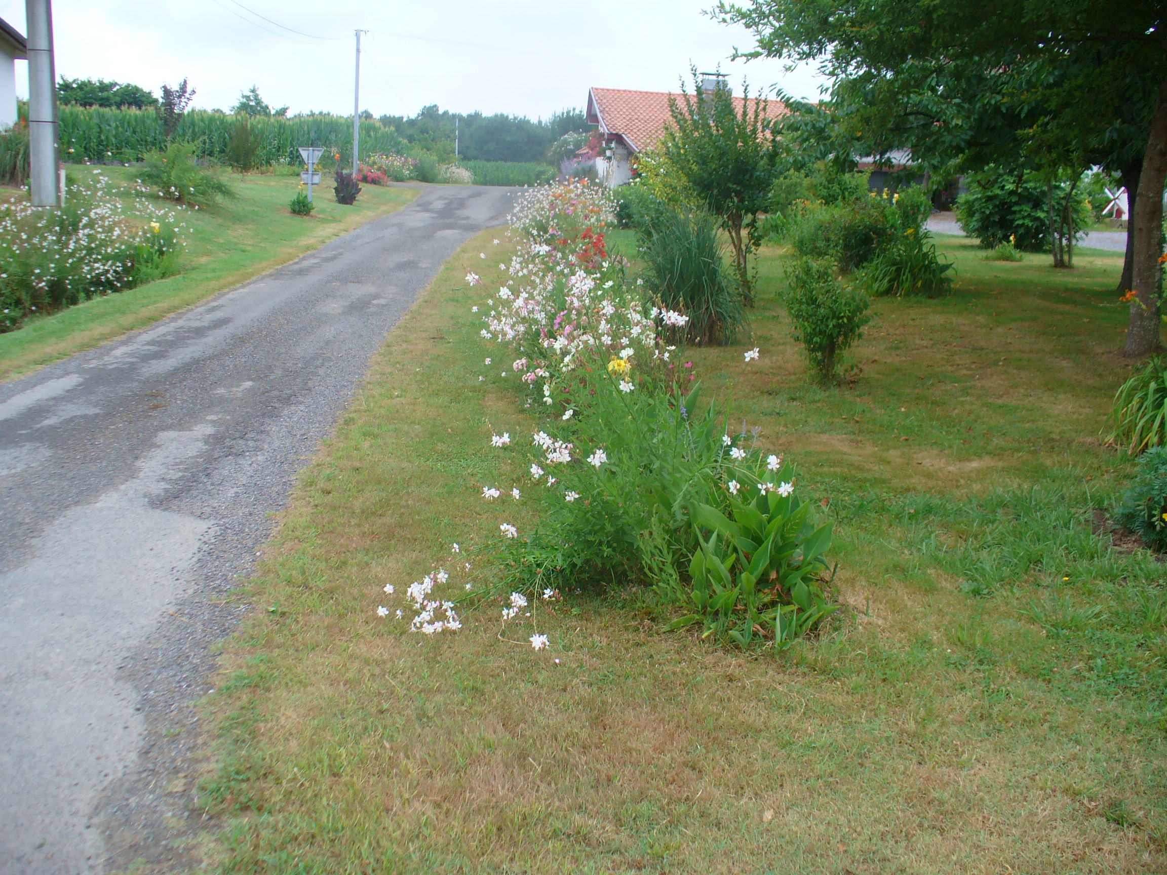 Grand Lartigue, Saint-Lon-les-Mines - photo 13