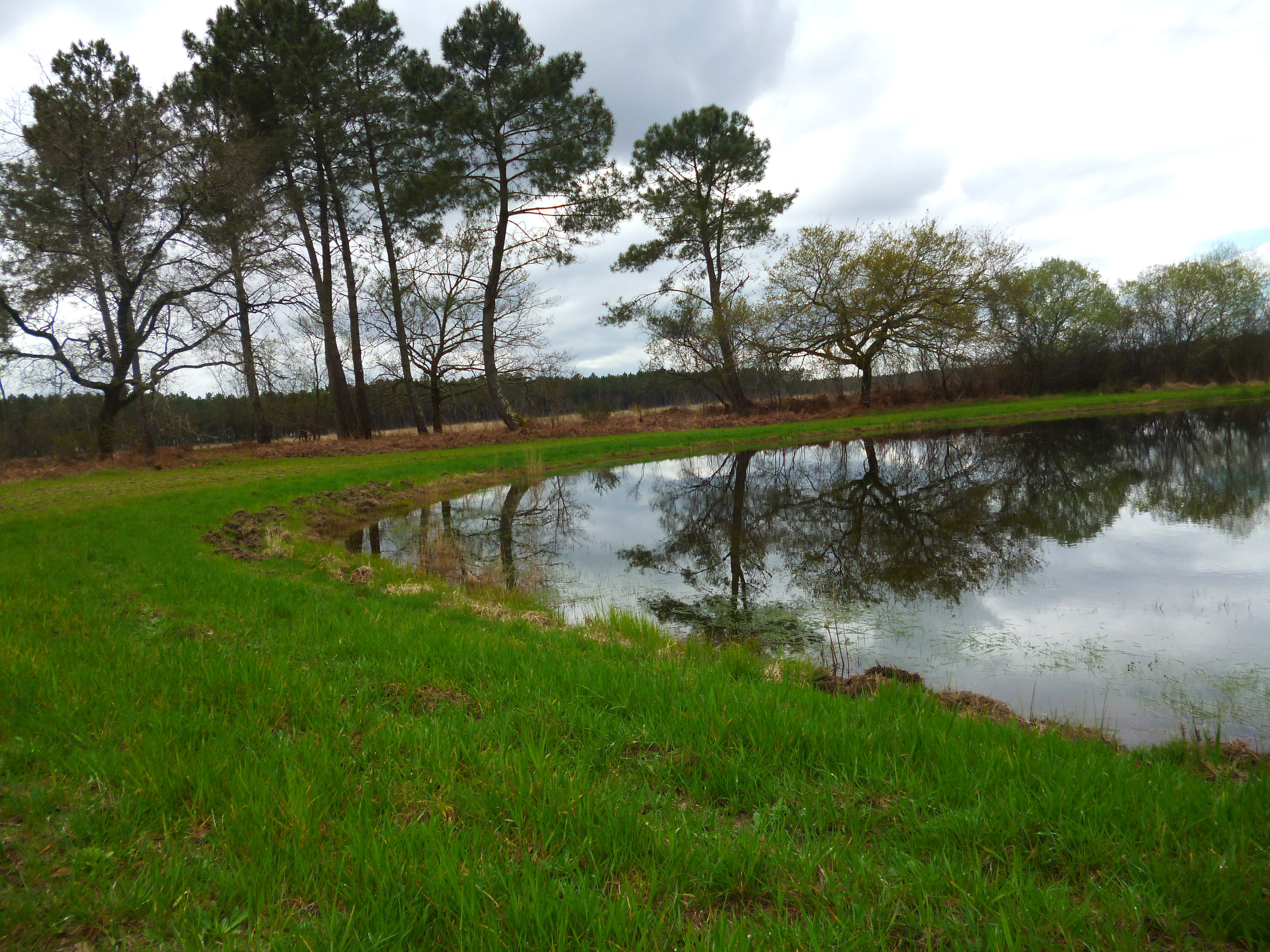Noël, lagunes, sources et lavoirs, un territoire d'eaux — photo 3