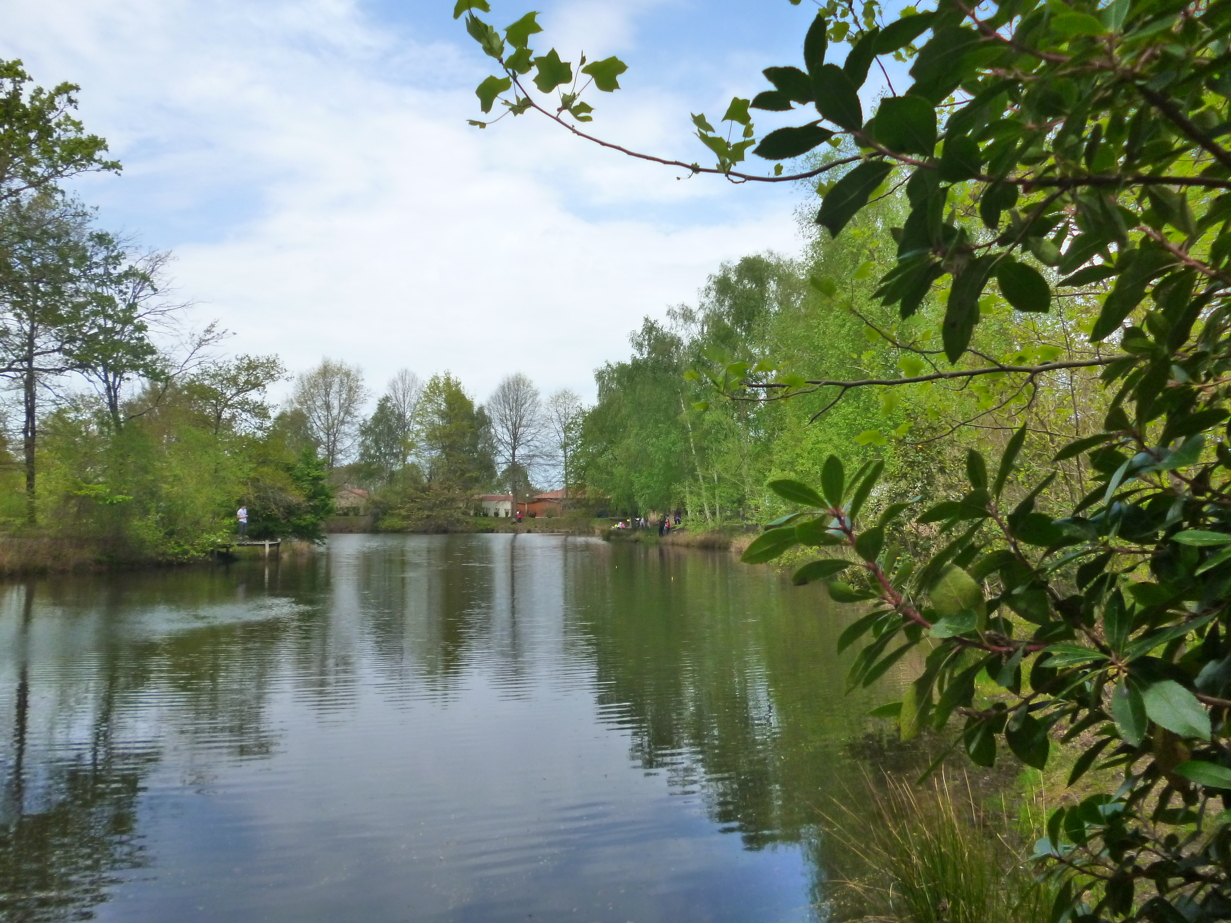 Etang et Arborétum de Moré, Morcenx-la-Nouvelle