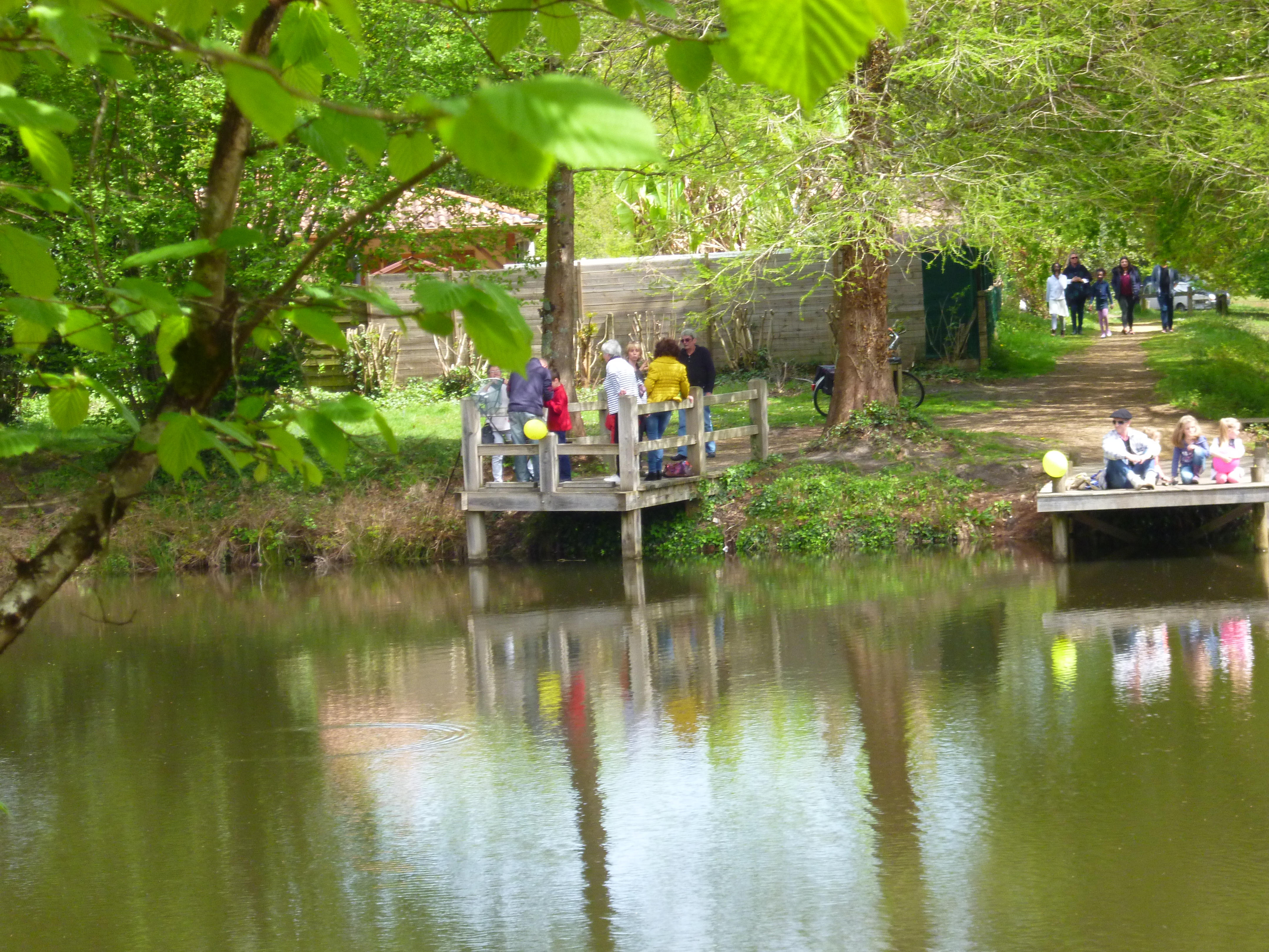 Etang et Arborétum de Moré, Morcenx-la-Nouvelle - photo 5