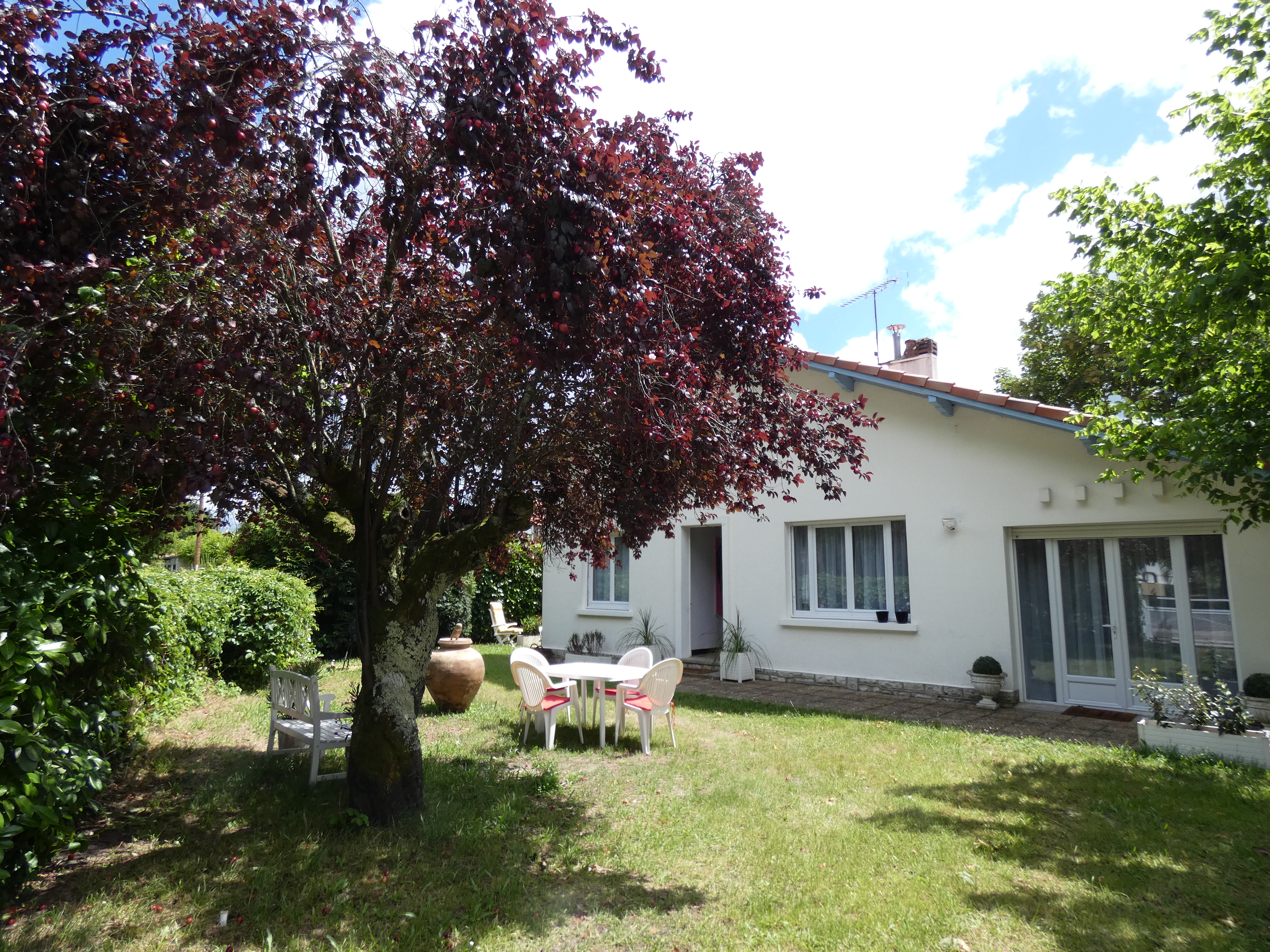 Le gîte des Souchets, Rion-des-Landes - photo 7