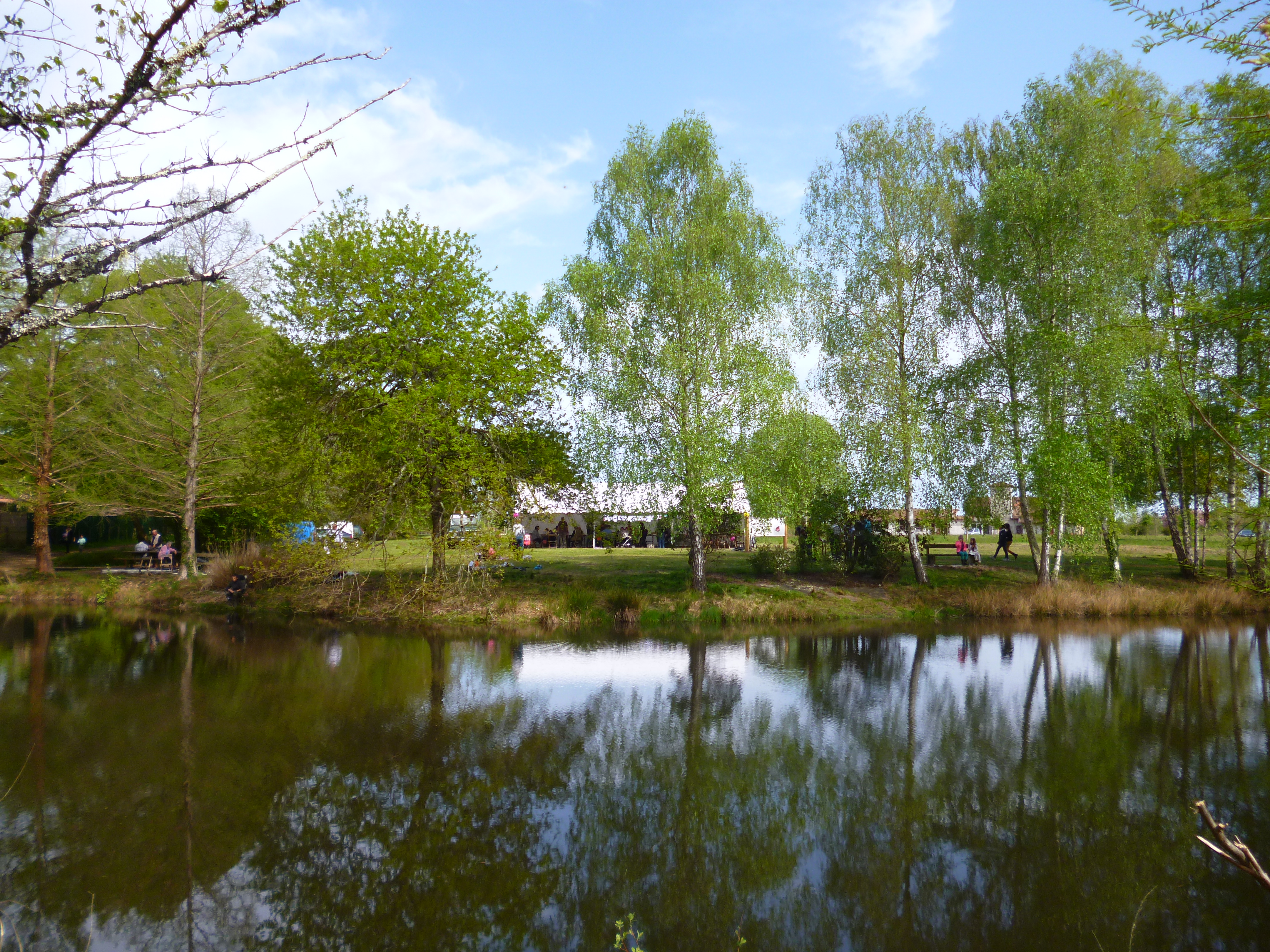 Etang et Arborétum de Moré, Morcenx-la-Nouvelle - photo 2