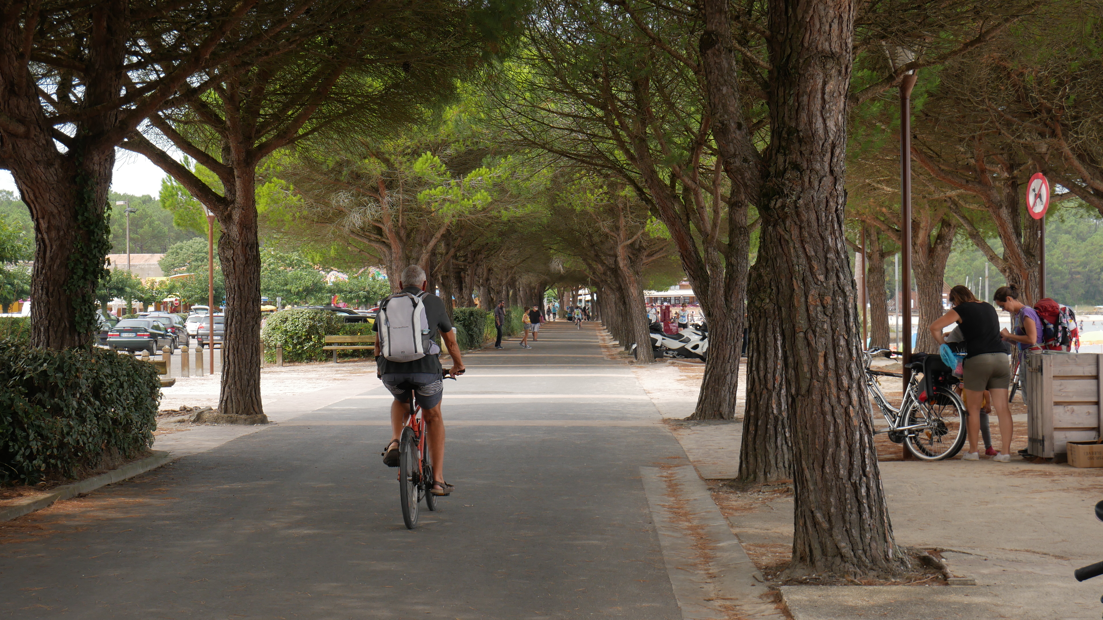 Boucle des Cavalles, Carcans - photo 4