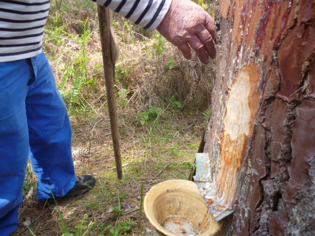 La Maison de la gemme, Lesperon - photo 9