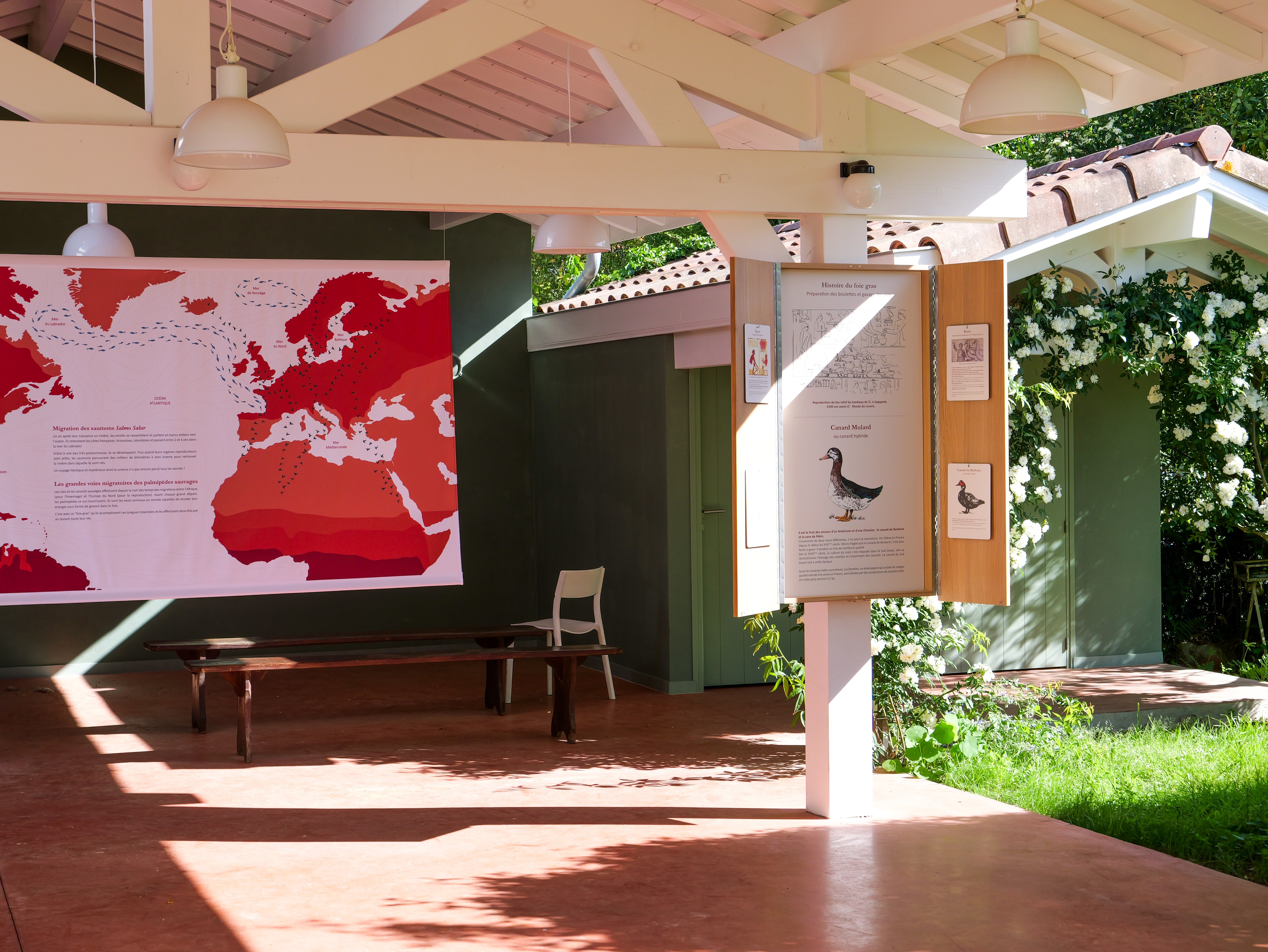 La Maison du Saumon, Peyrehorade - photo 4