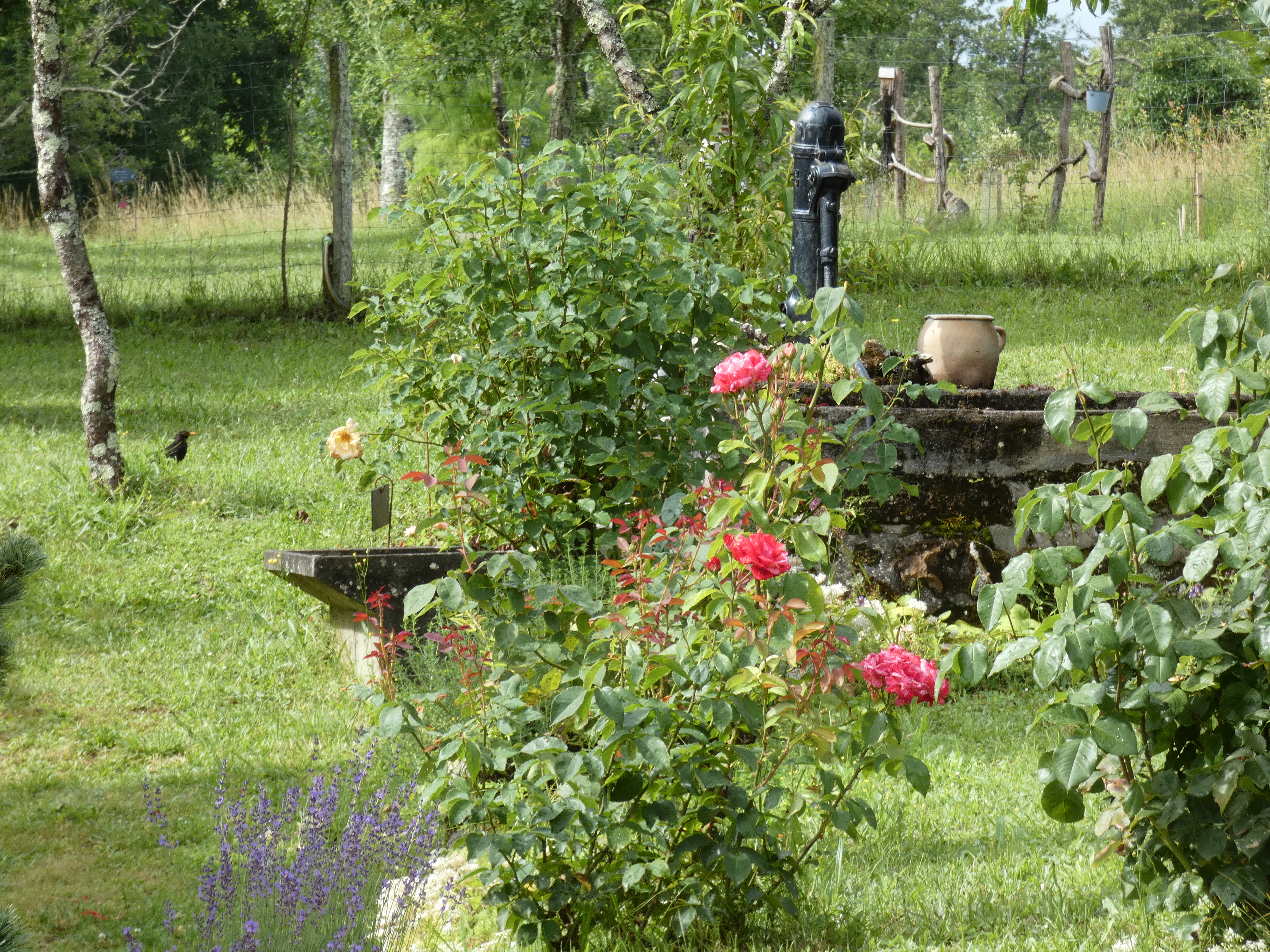 Le Jardin des Murmures, Guillac - photo 4
