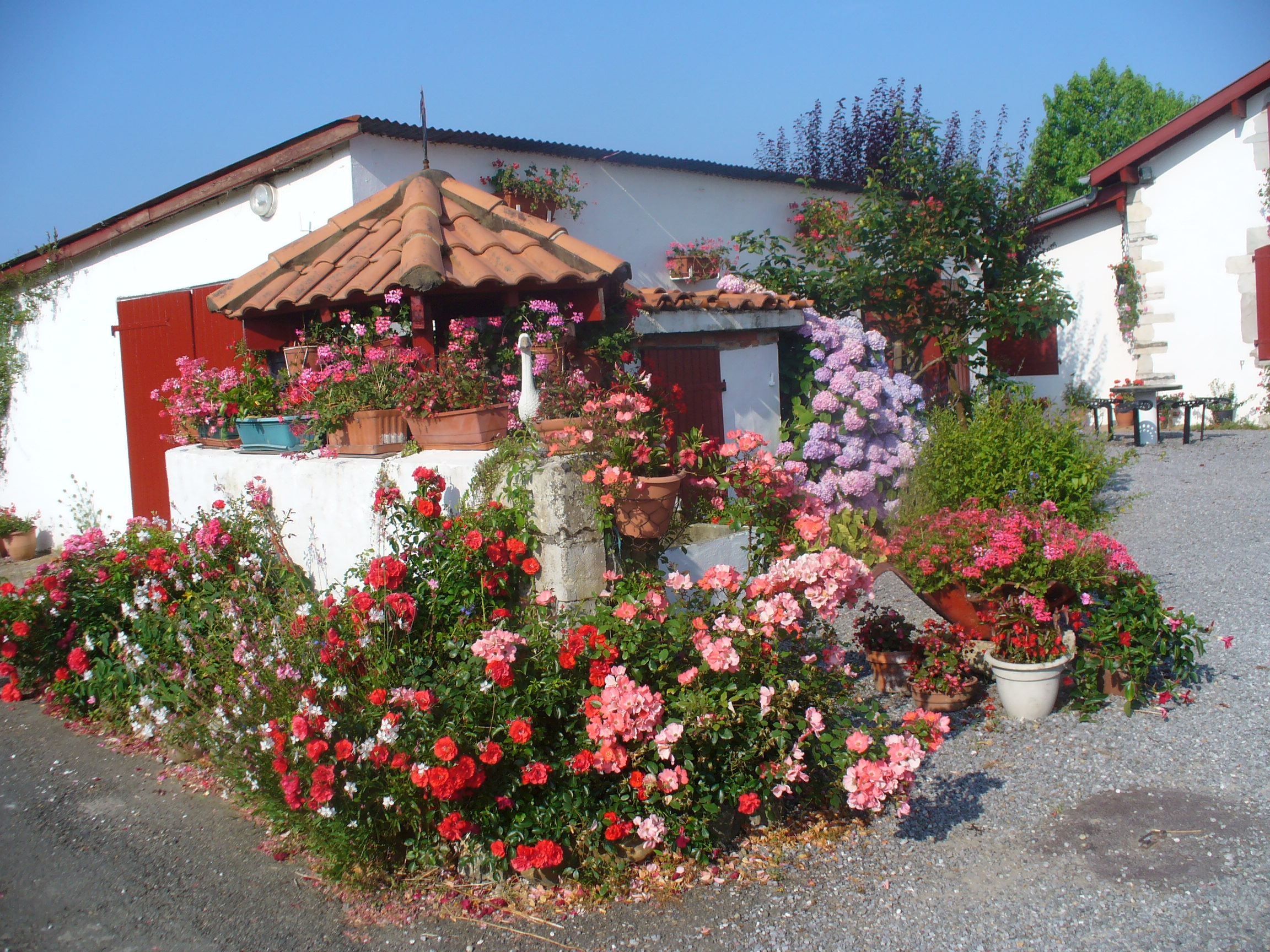 Grand Lartigue, Saint-Lon-les-Mines - photo 3