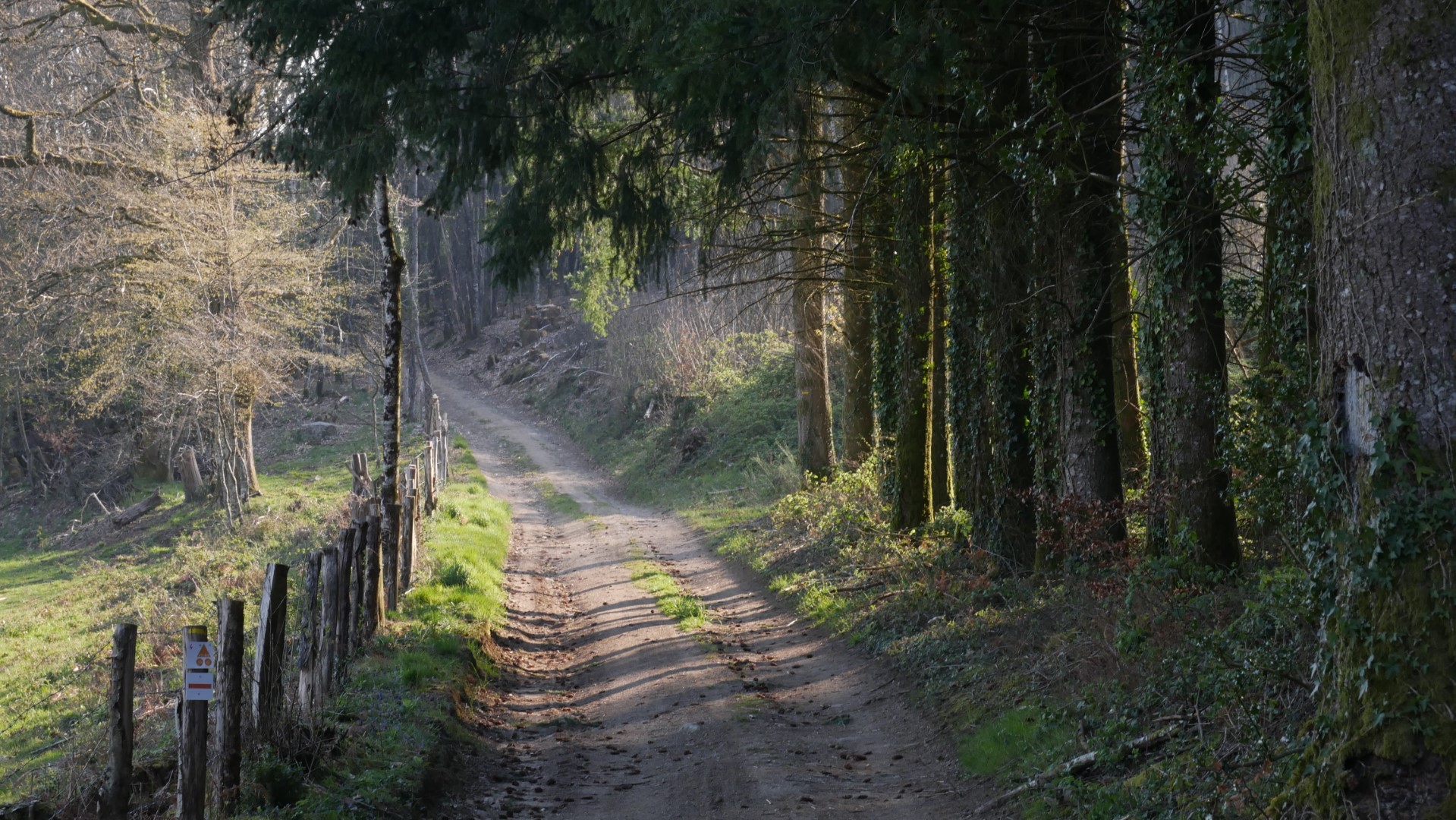 Circuit N°63 CC : Sentier "Histoire et Patrimoine", Saint-Amand-Jartoudeix - photo 3