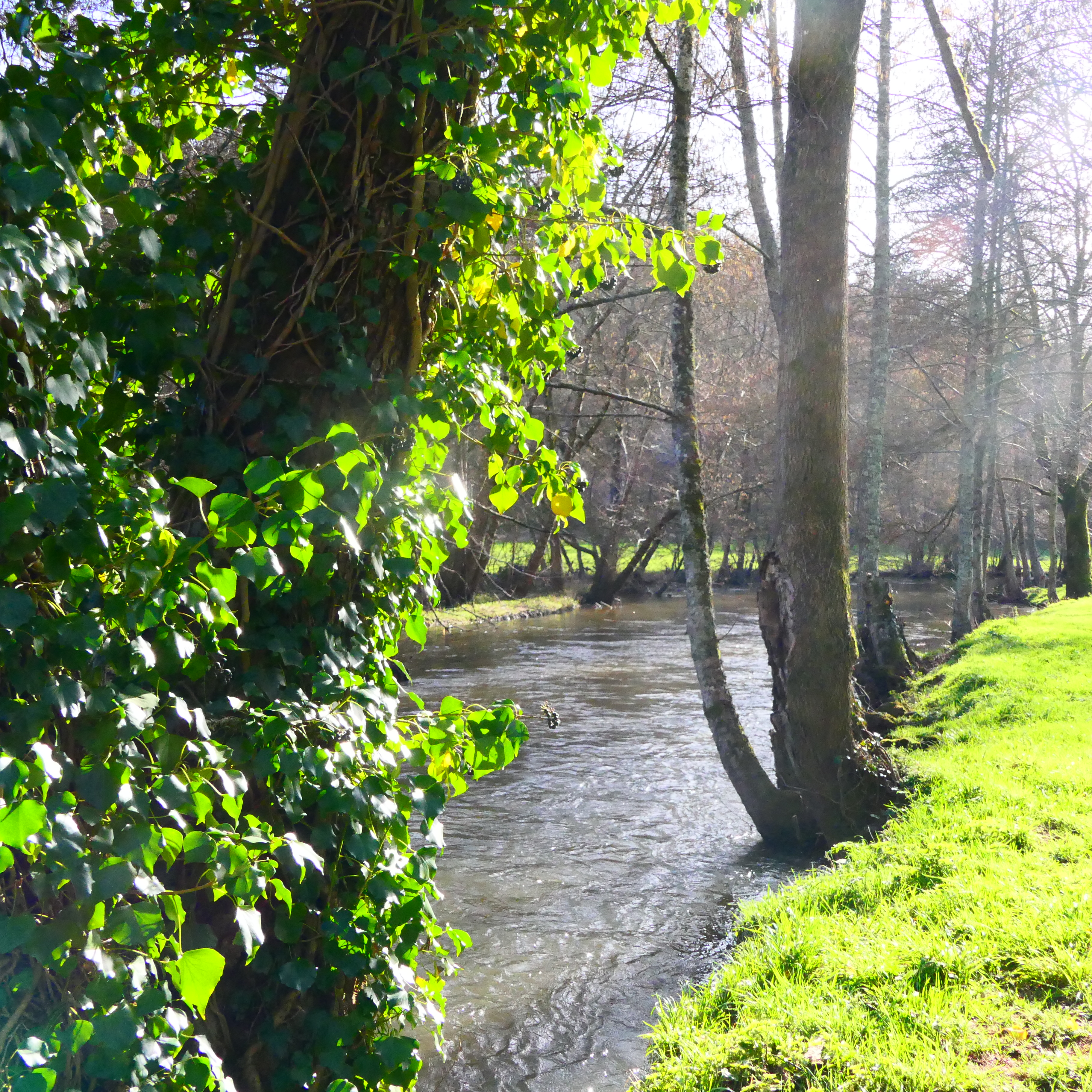 Histoire d'eau