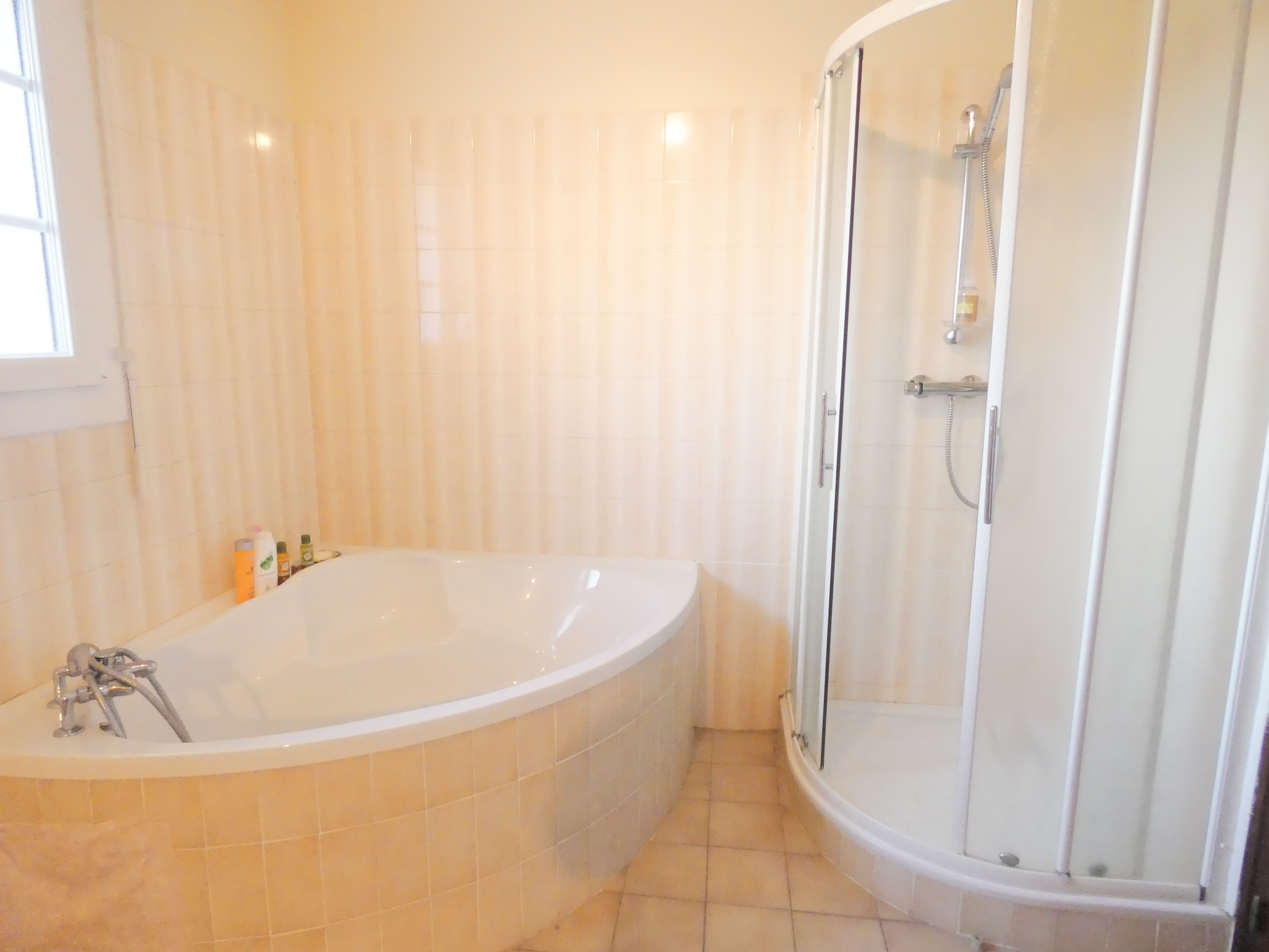 Guilemjouan, Misson - photo 2