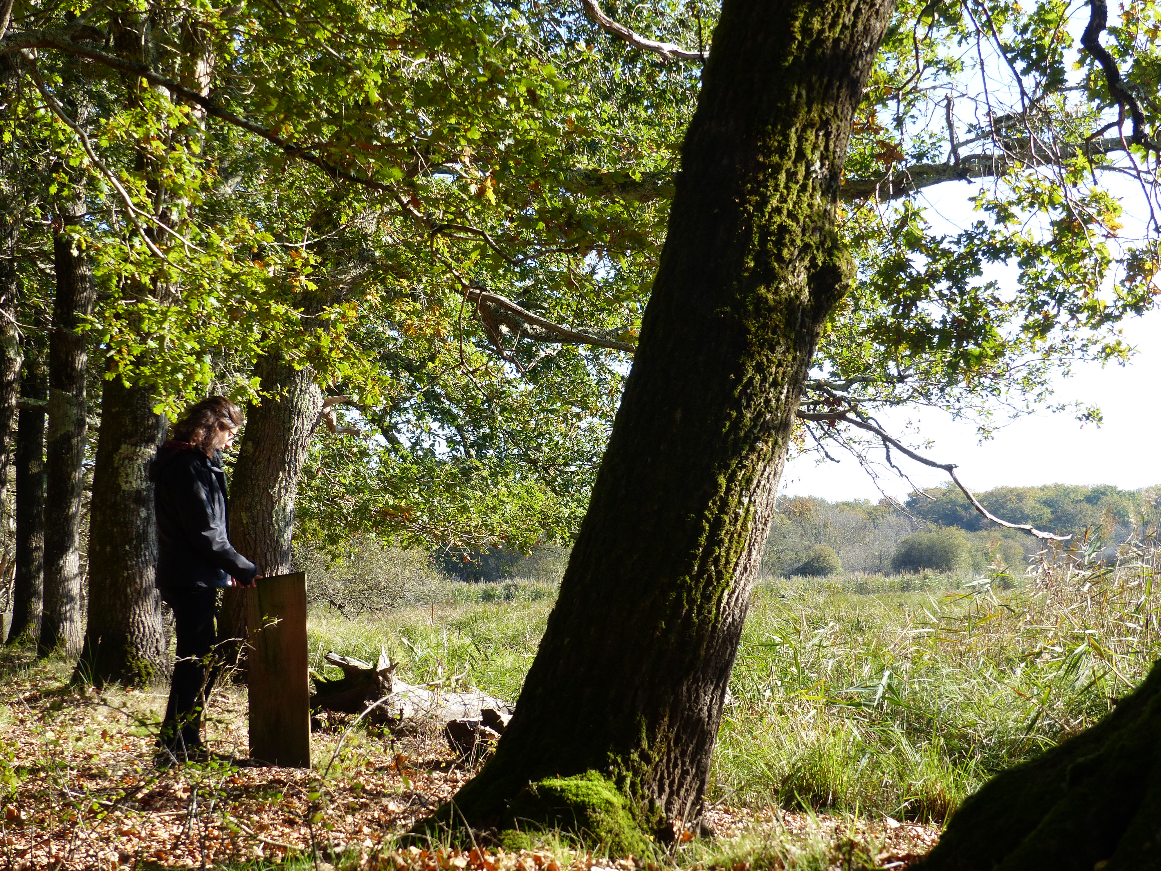Le sentier du Marais du Gua, Vensac - photo 7