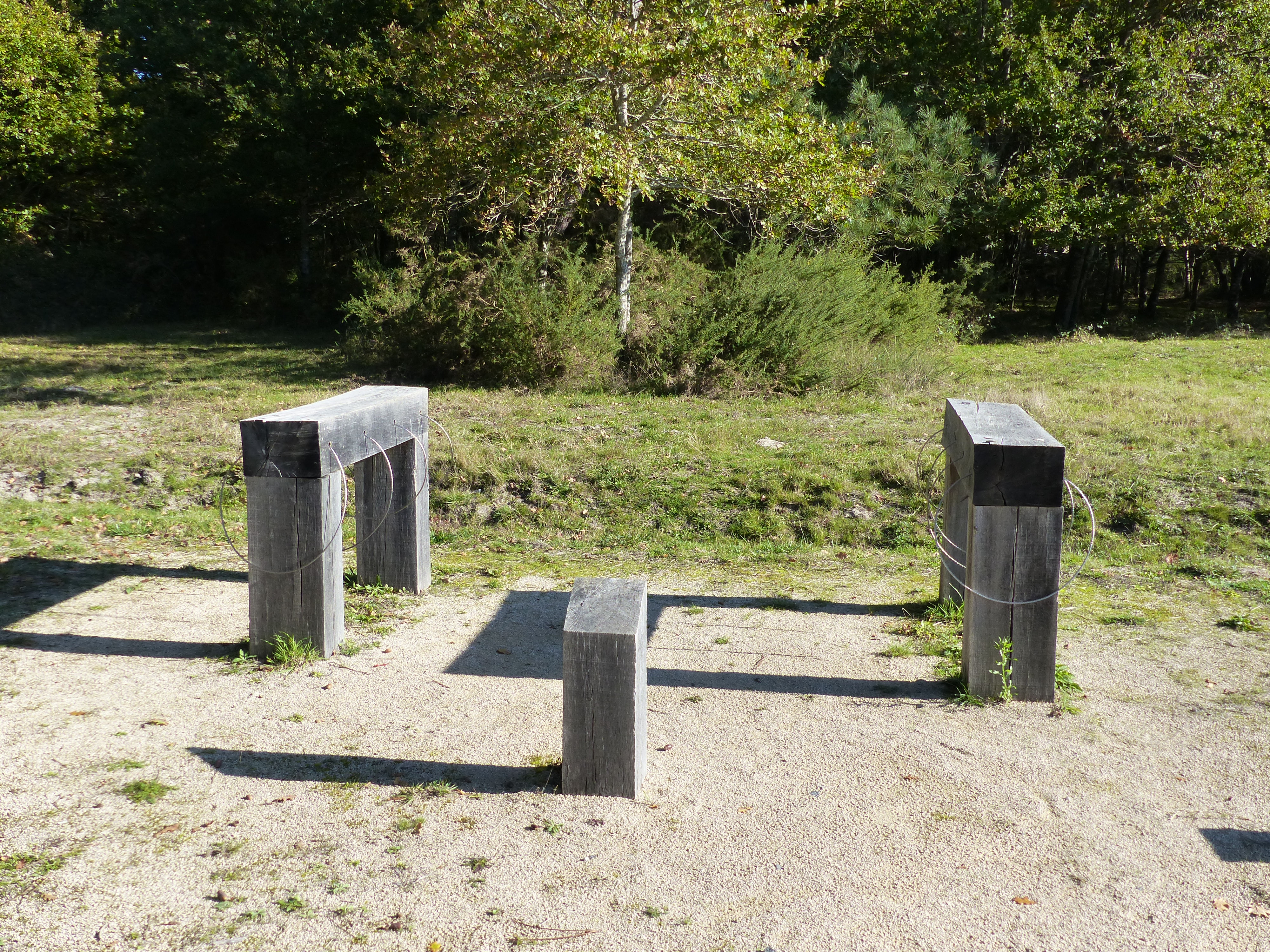 Le sentier du Marais du Gua, Vensac - photo 4