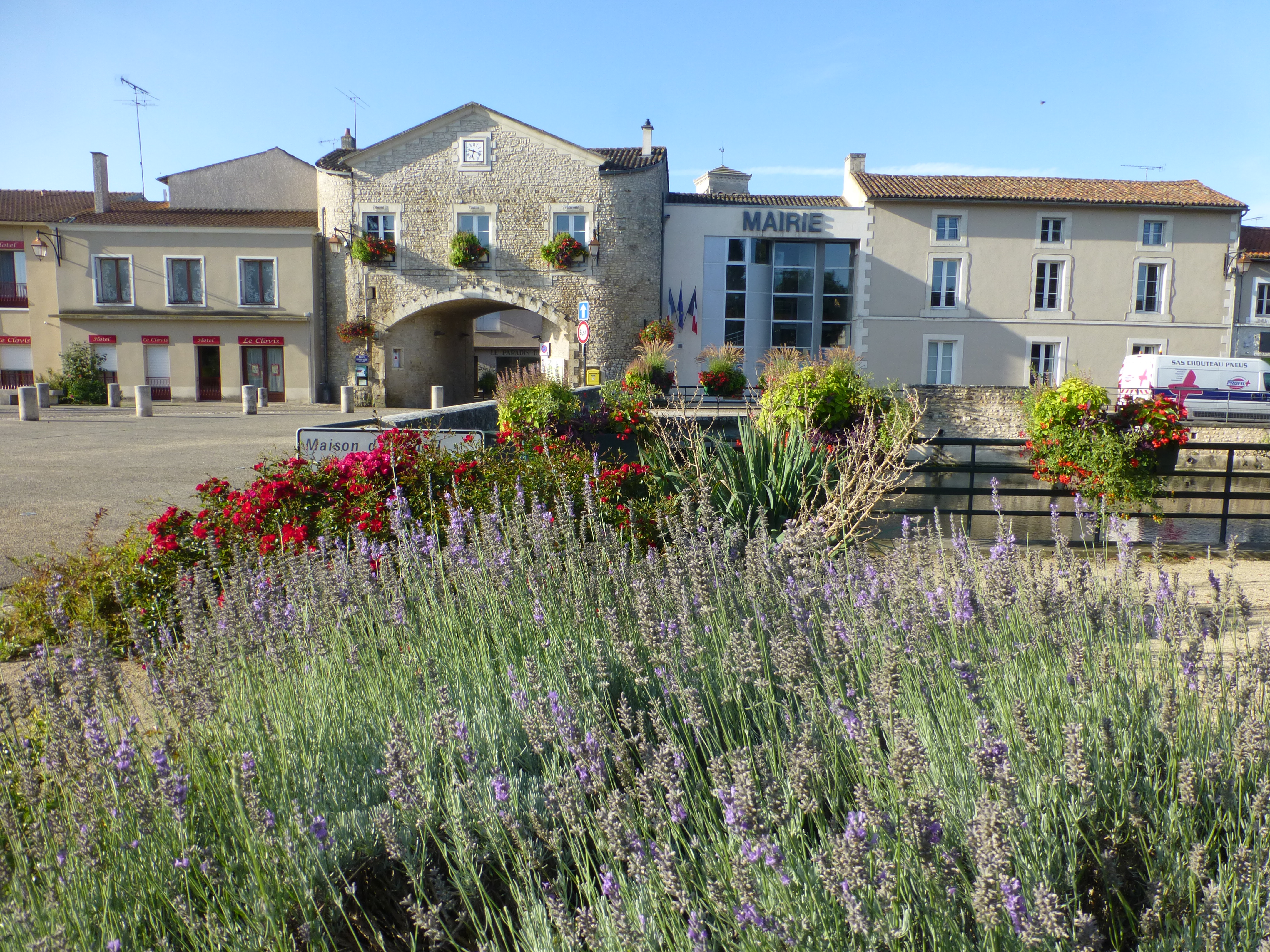 Circuit de la forêt de Vouillé Saint-Hilaire, Vouillé - photo 2