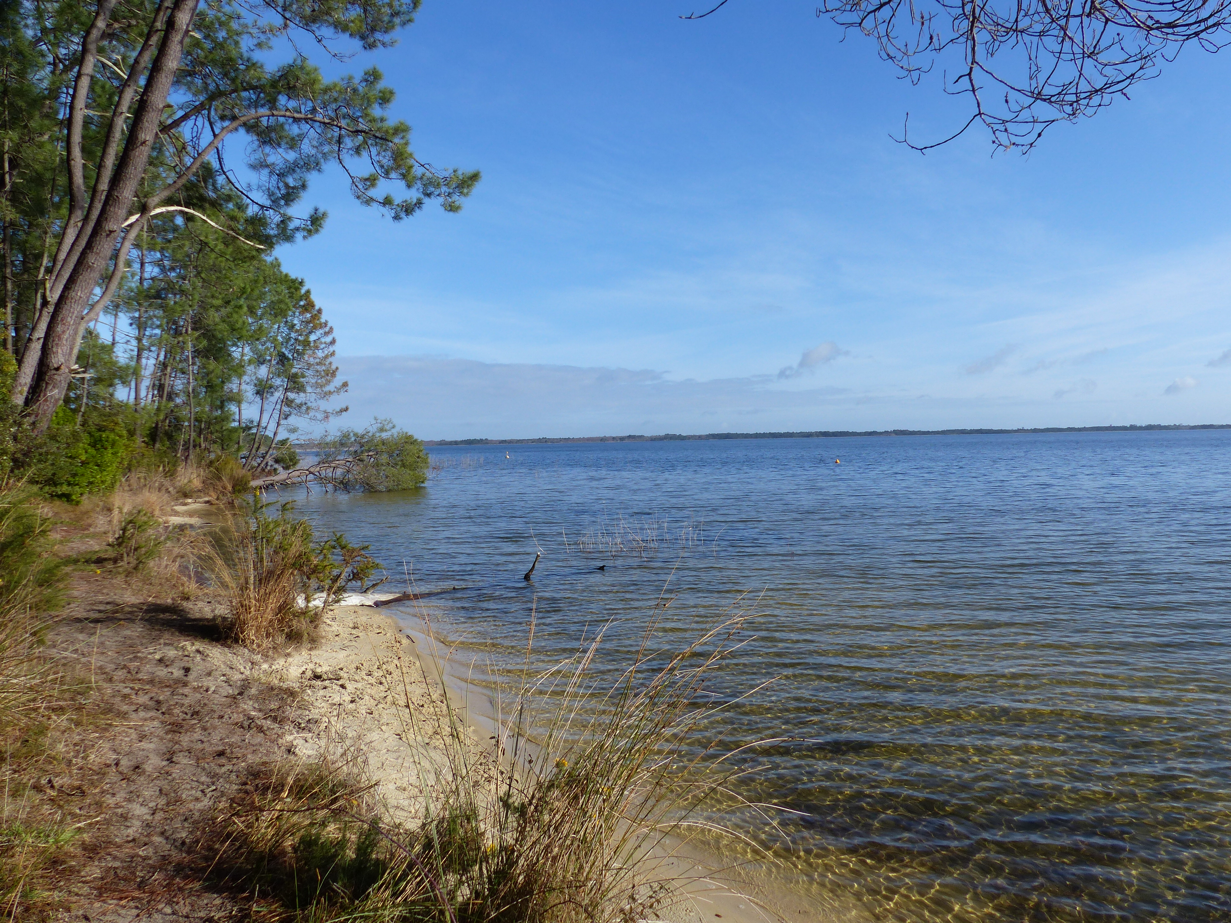Sentier des chevreuils sportifs - Réserve Naturelle de Hourtin - photo 4