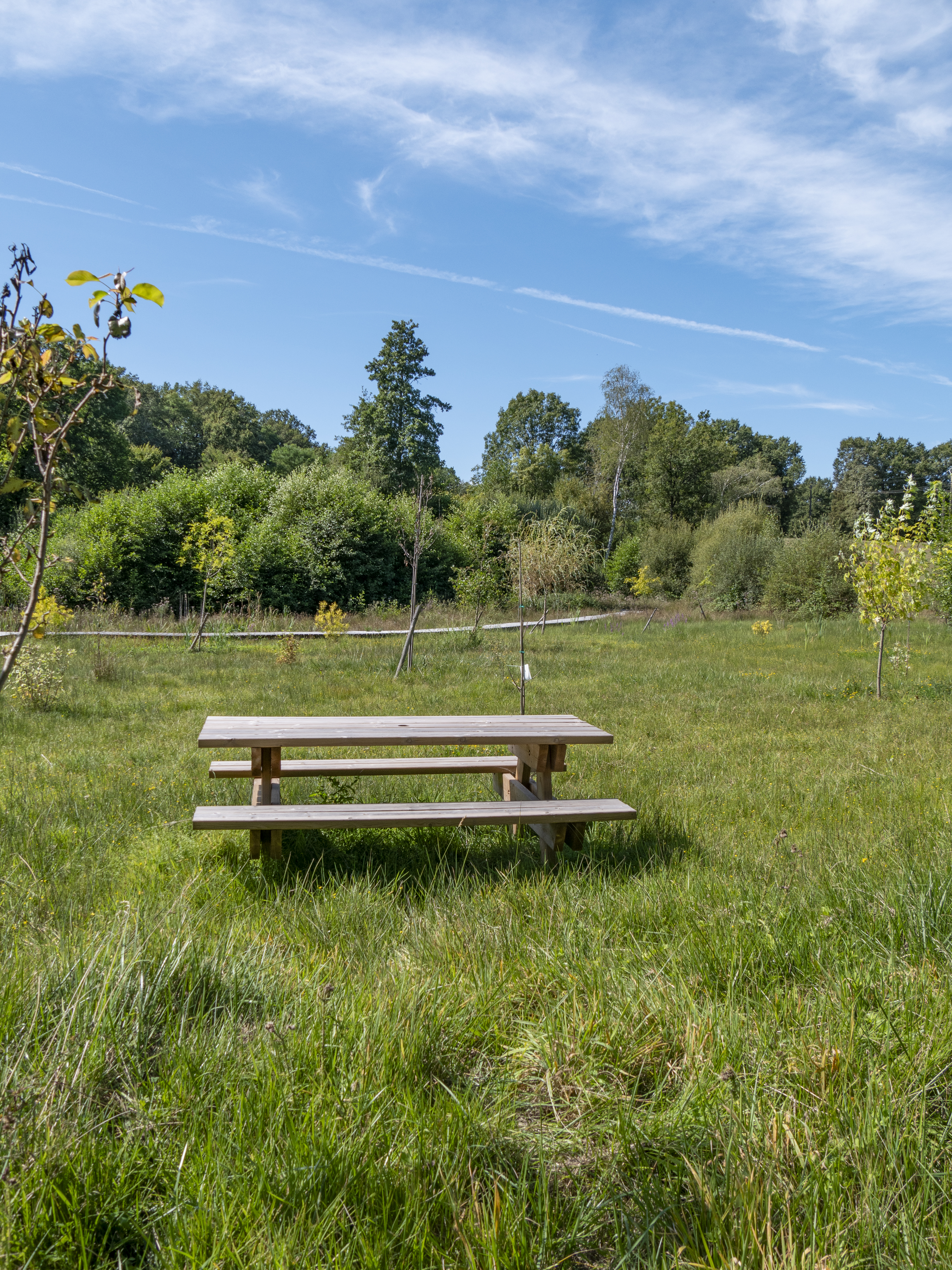 Table de pique-nique de la place