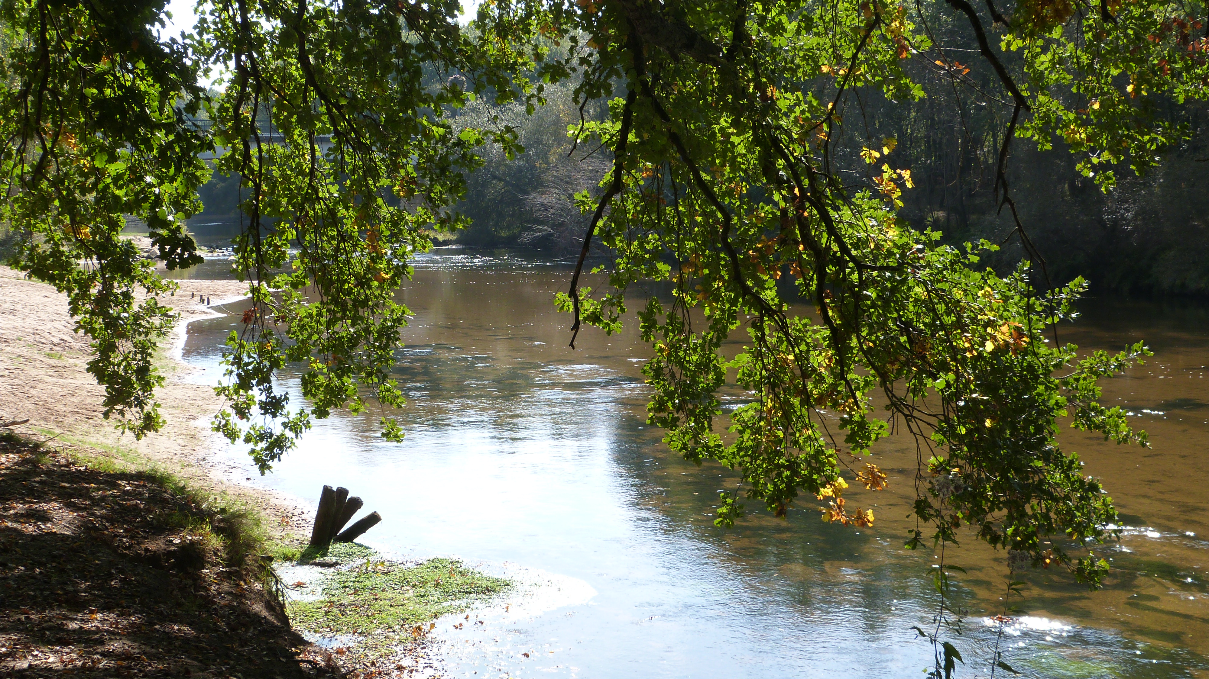 Les Pistes de Robin : jeu découverte au Coeur de la nature à Mios, Mios - photo 4