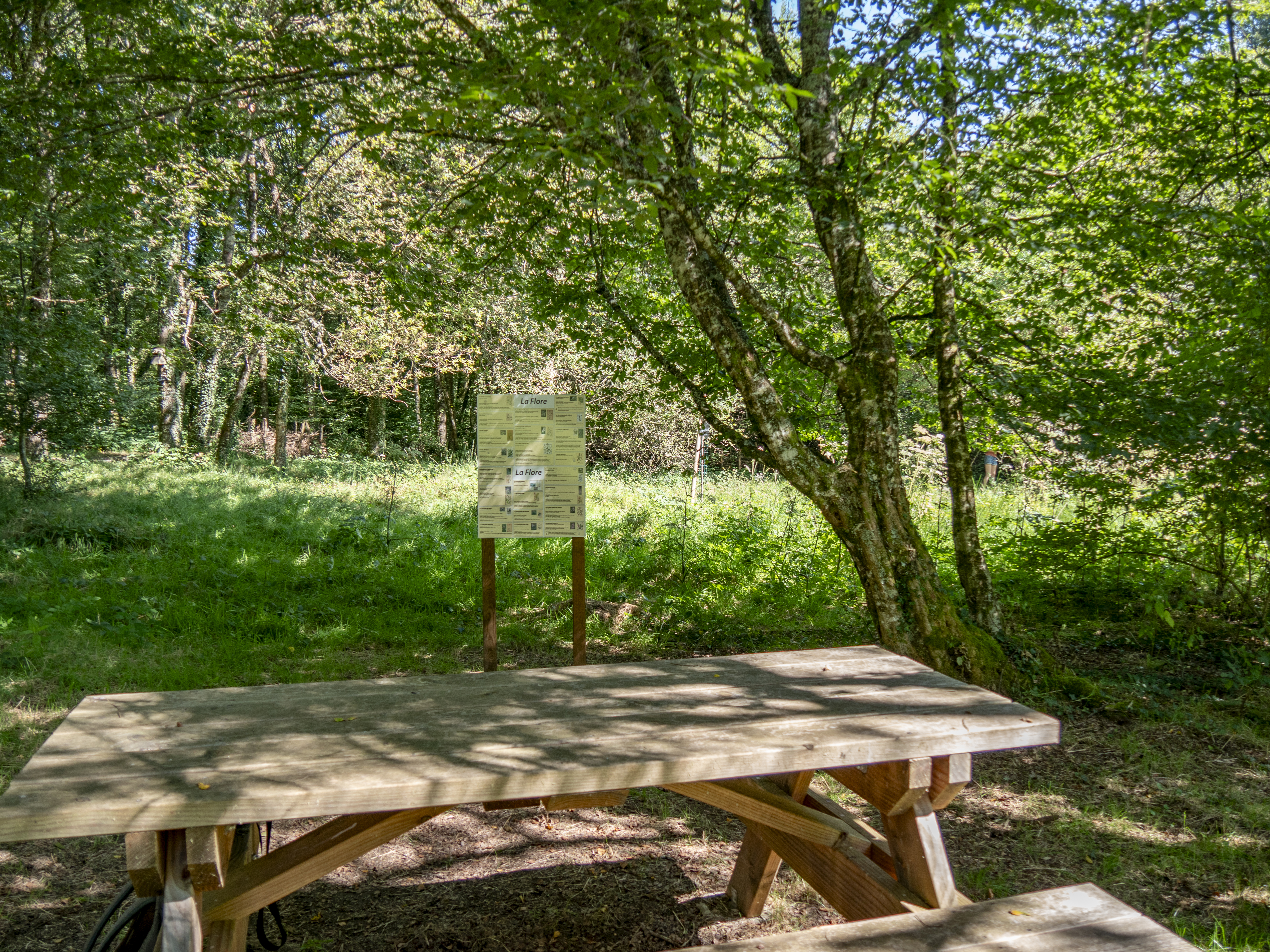 Table de pique nique