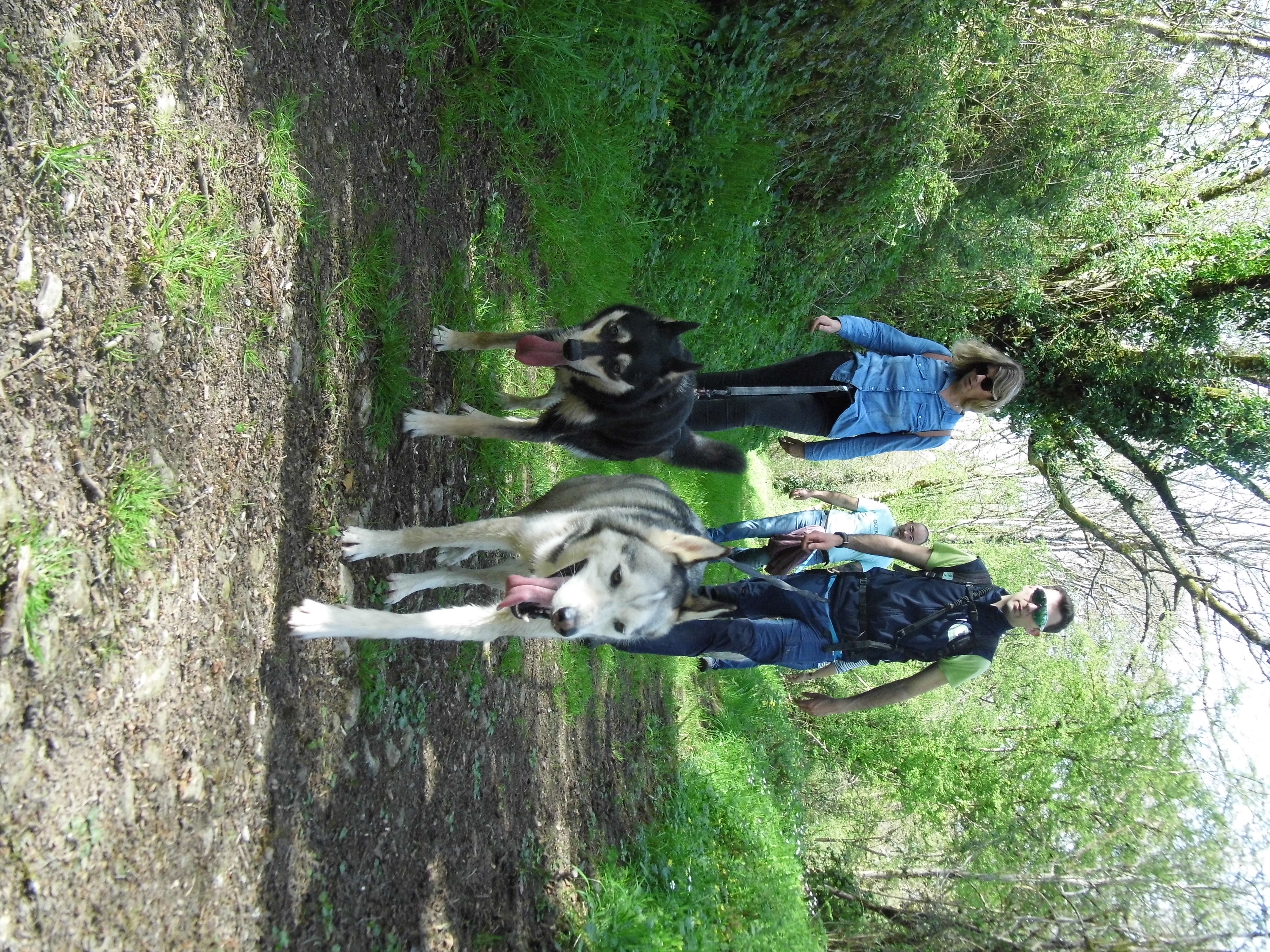 Immersion mushing — photo 3