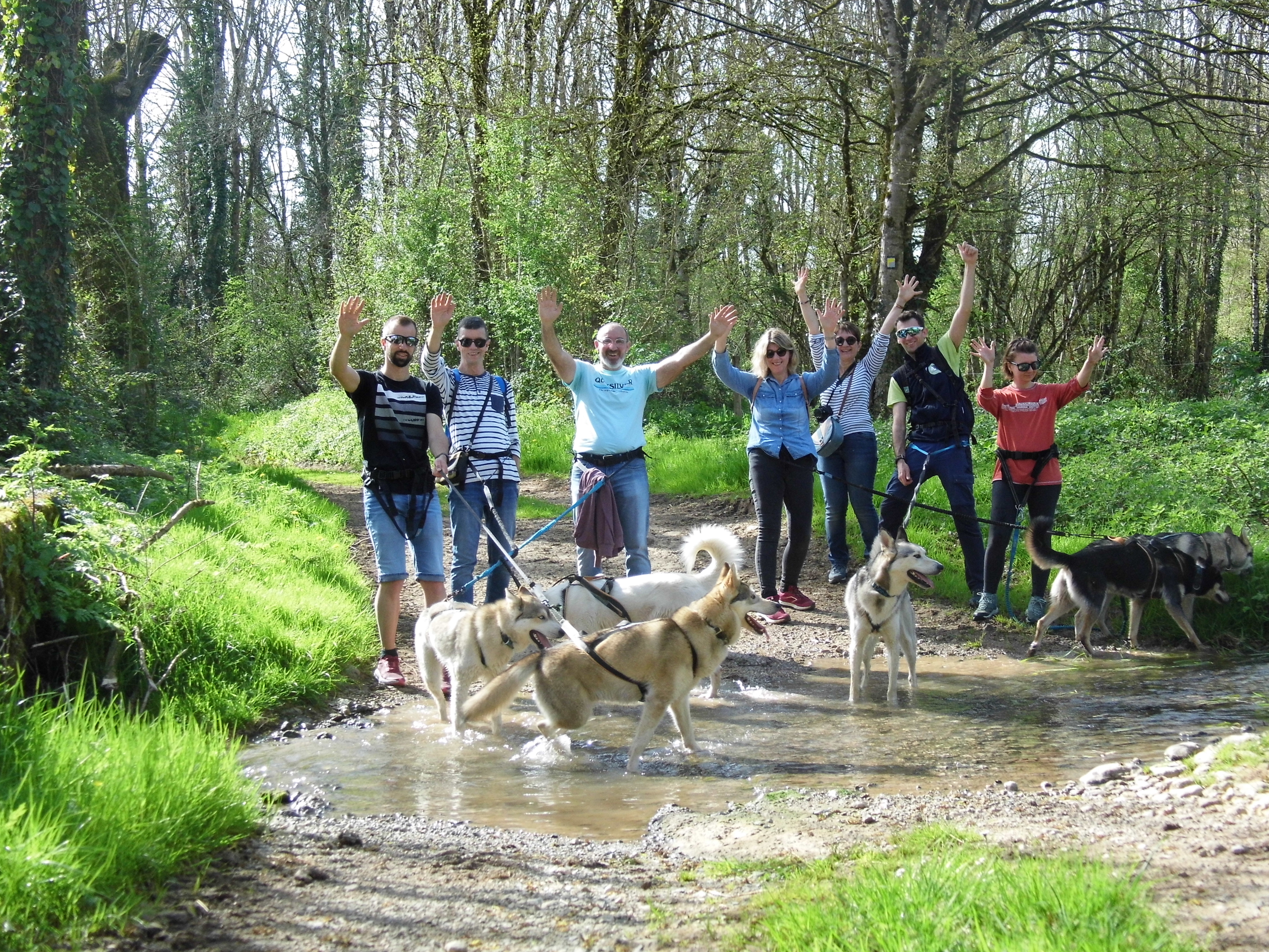 Immersion mushing — photo 2