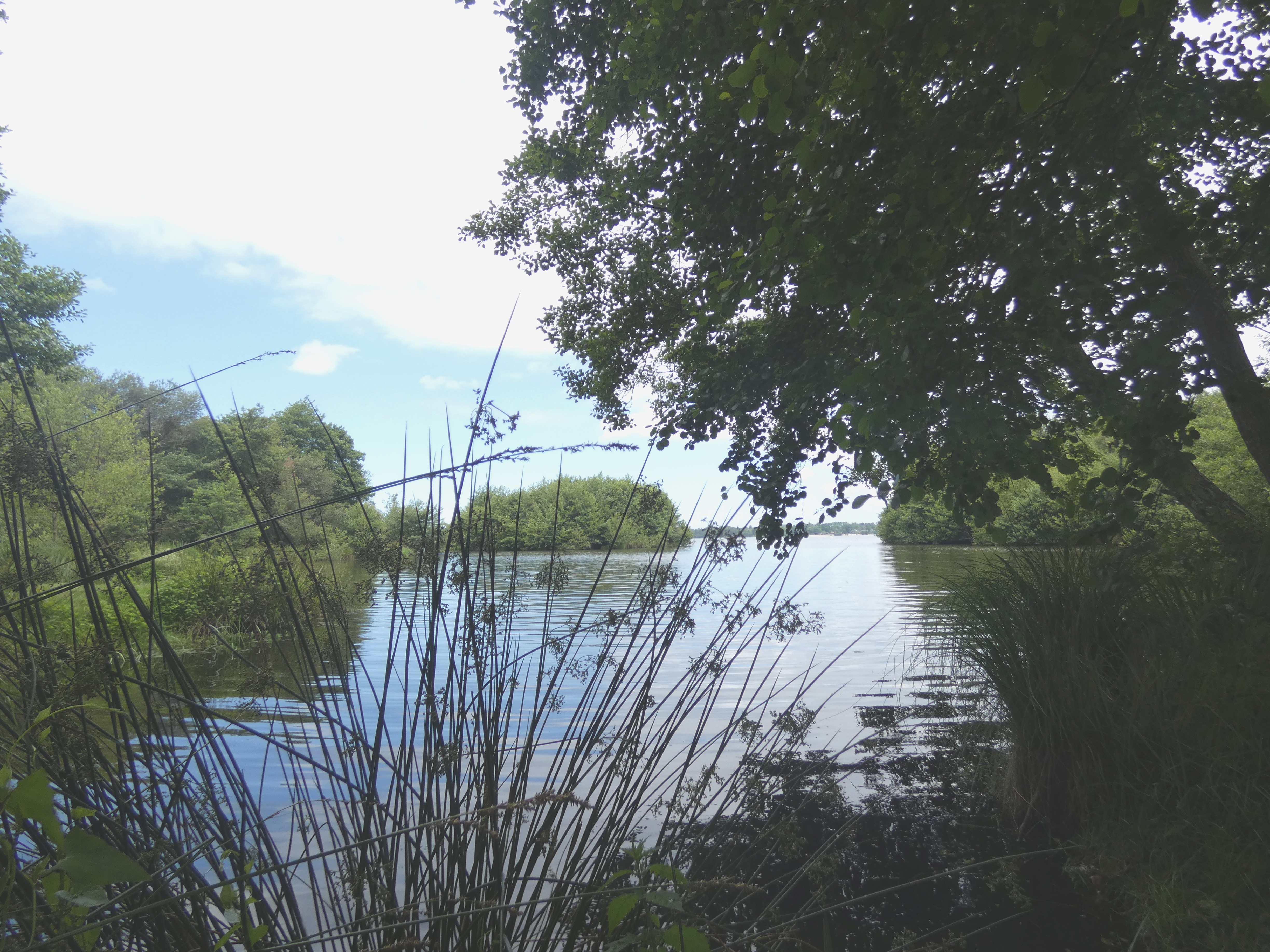La Maison de mon grand-père, appt la landaise du lac, Léon - photo 3