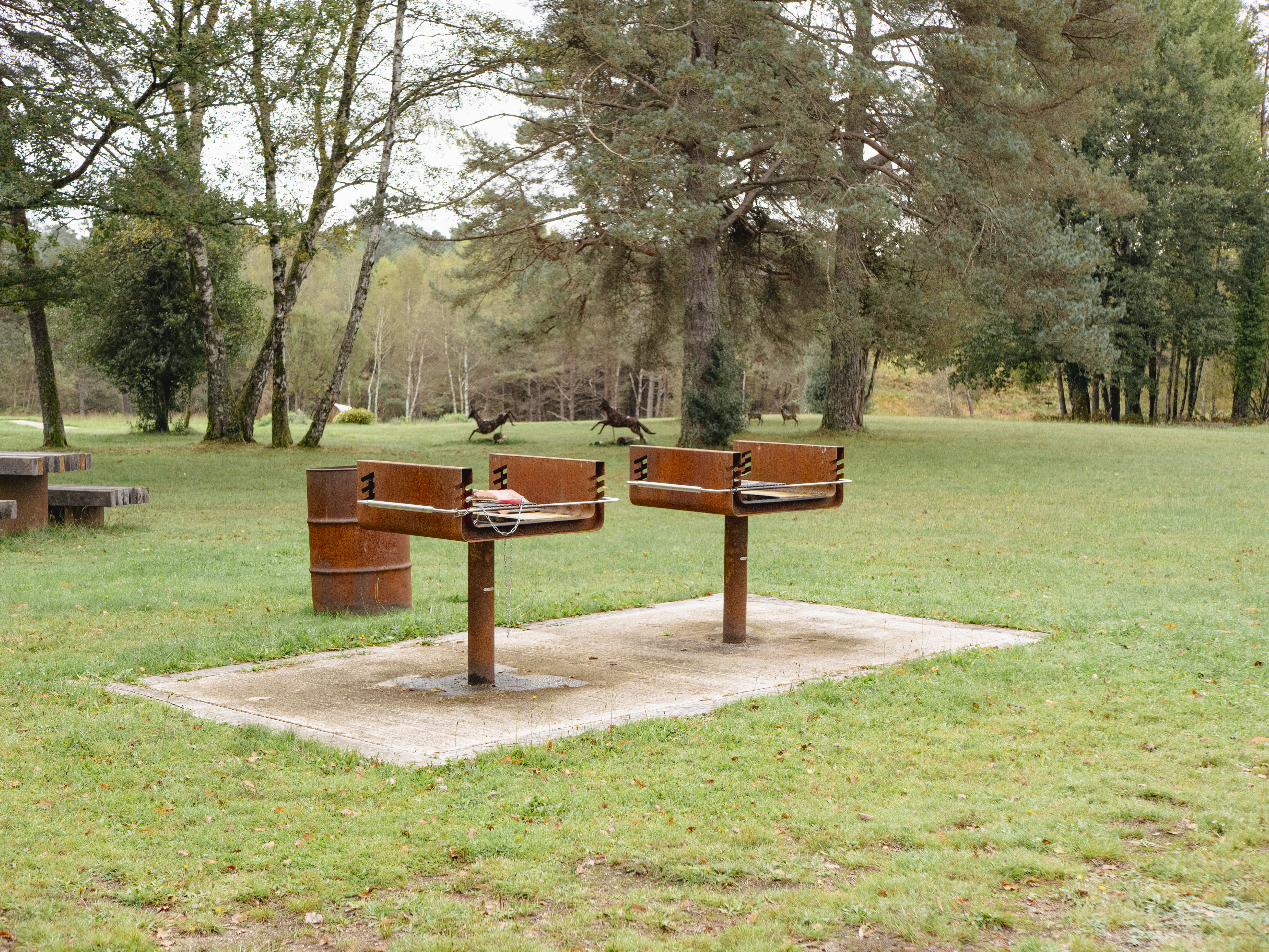 Aire de Pique-nique - photo 3