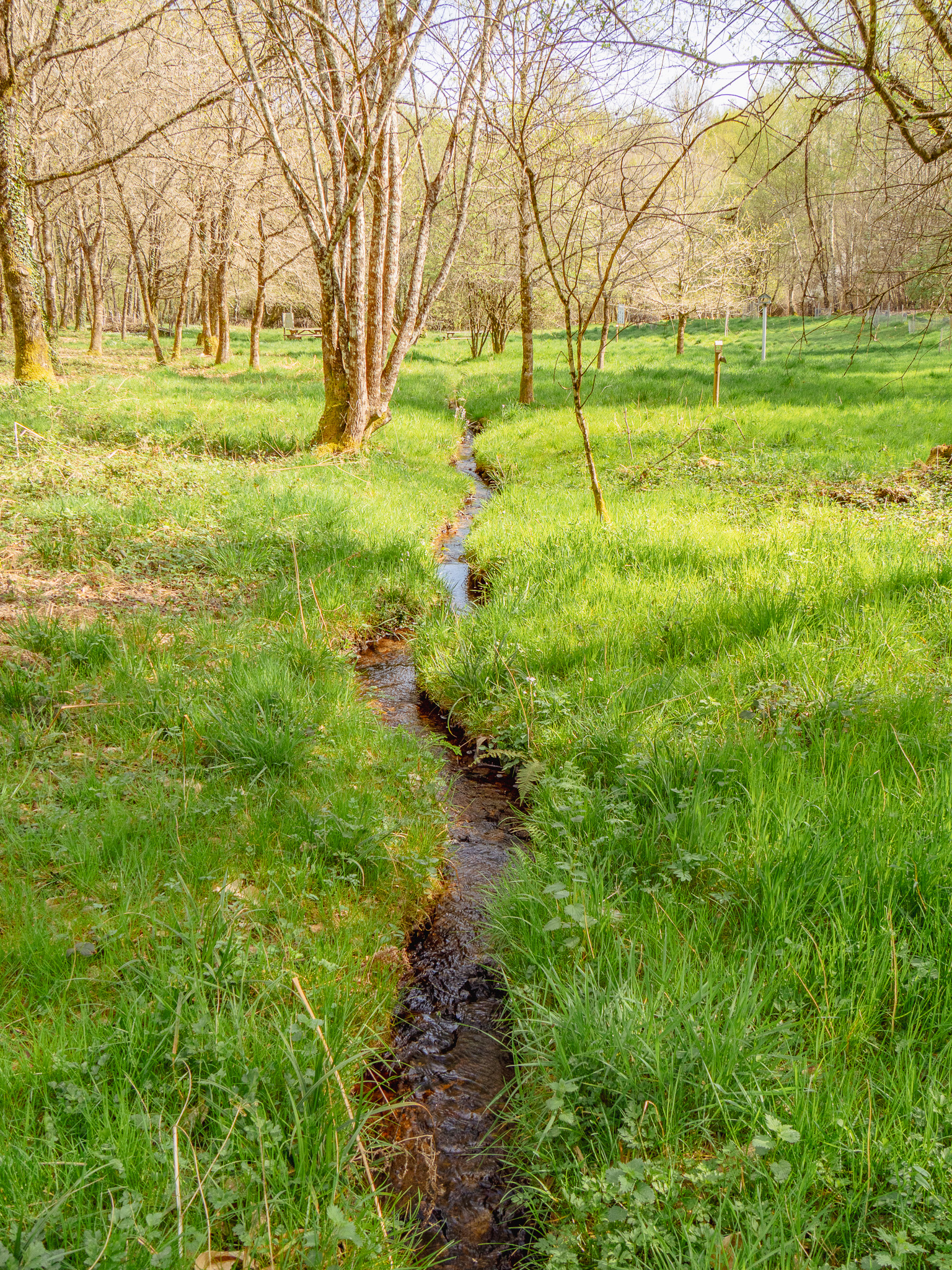 Zone humide d’Aigueperses, Saint-Paul
