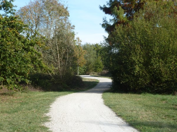 Balade à roulettes : Le Bois de Bordeaux 2 IMPRATICABLE