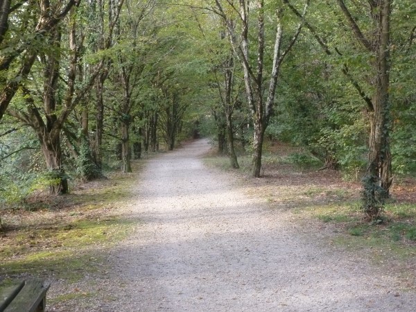 Balade à roulettes : Le Bois de Bordeaux 2 IMPRATICABLE, Bordeaux