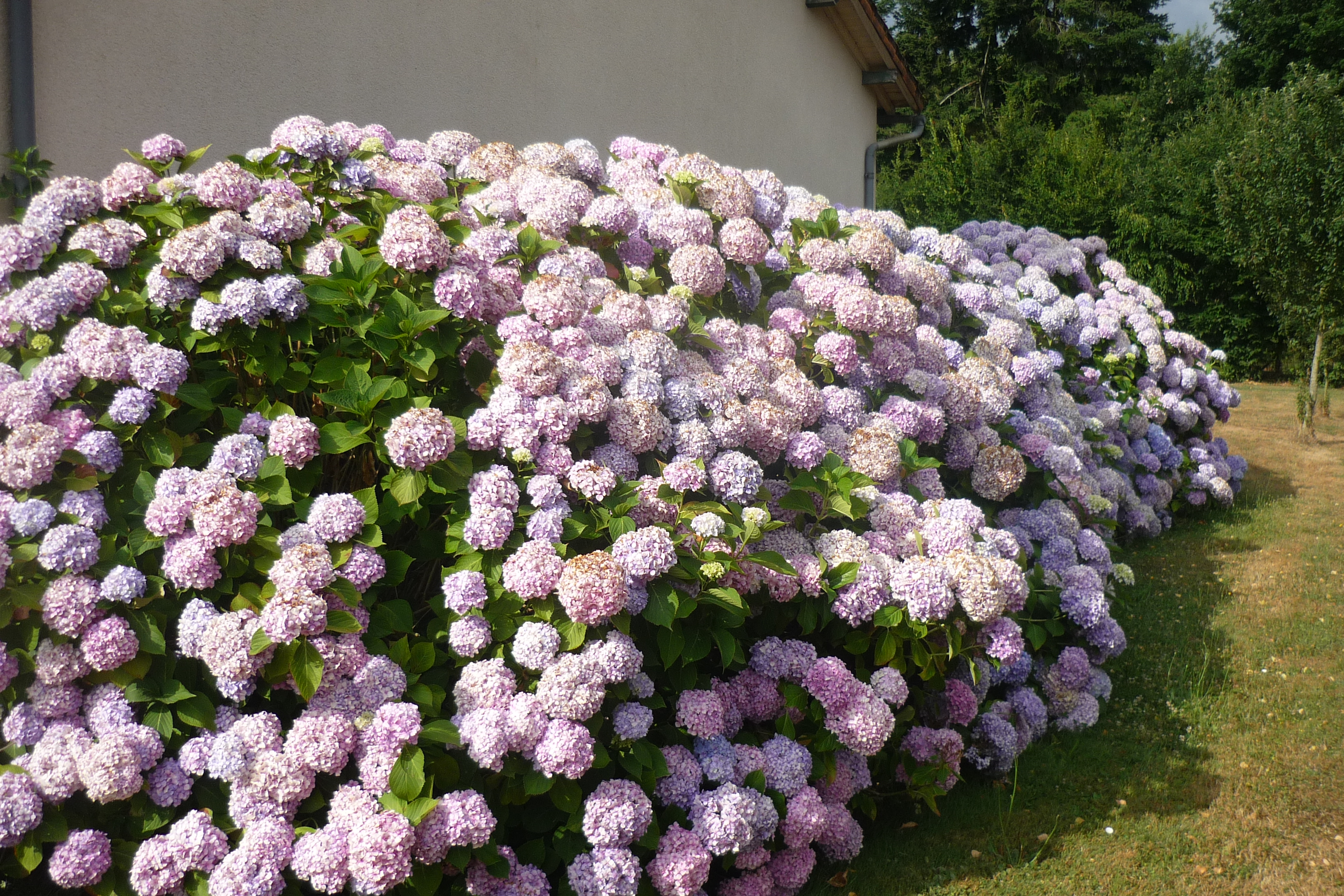 Gîte de la Grimolle 1, Valence-en-Poitou - photo 10