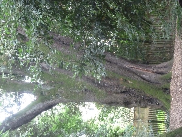 Balade à roulettes : Le parc Rivière, Bordeaux