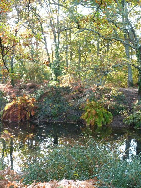 Balade à roulettes : Le parc de la Cheneraie, Gujan-Mestras - photo 4