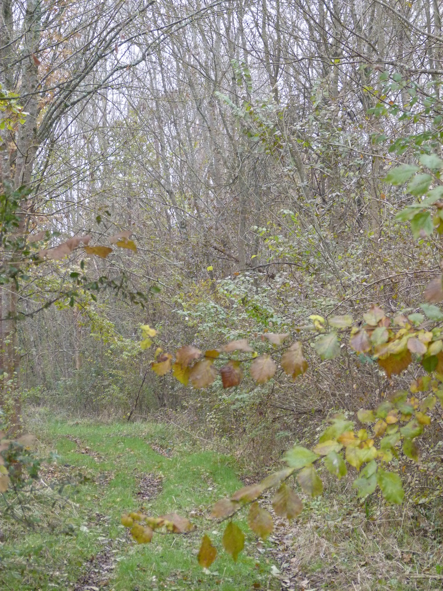 Boucle de Charlemagne à Saint-Michel l'Ecluse et Léparon