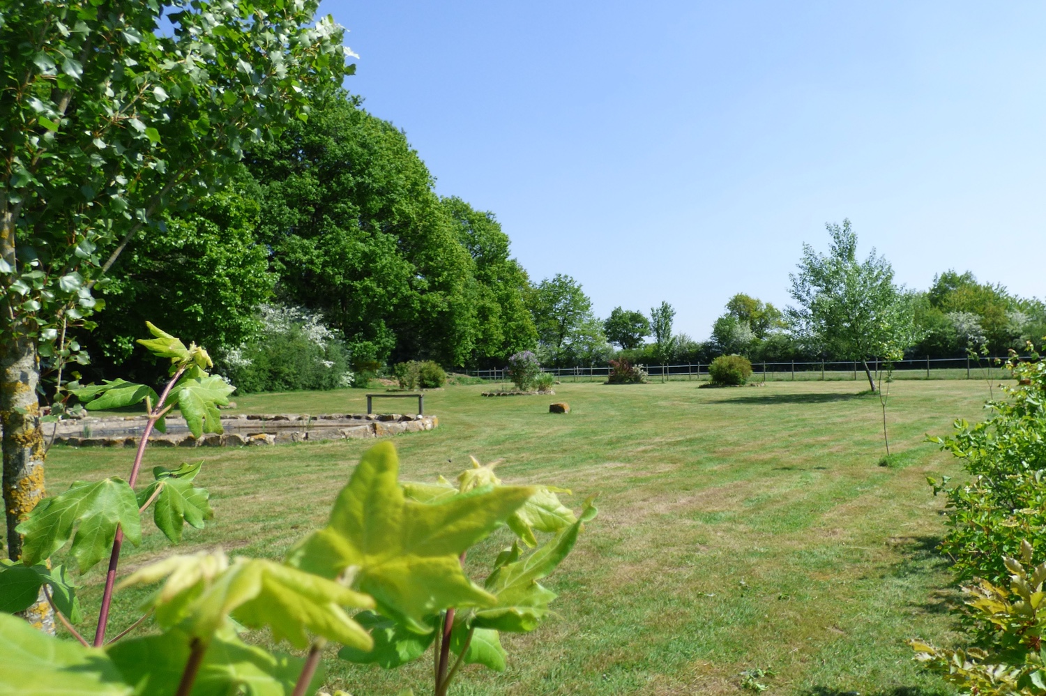 Gite la Verrerie 2, La Ferrière-en-Parthenay - photo 4