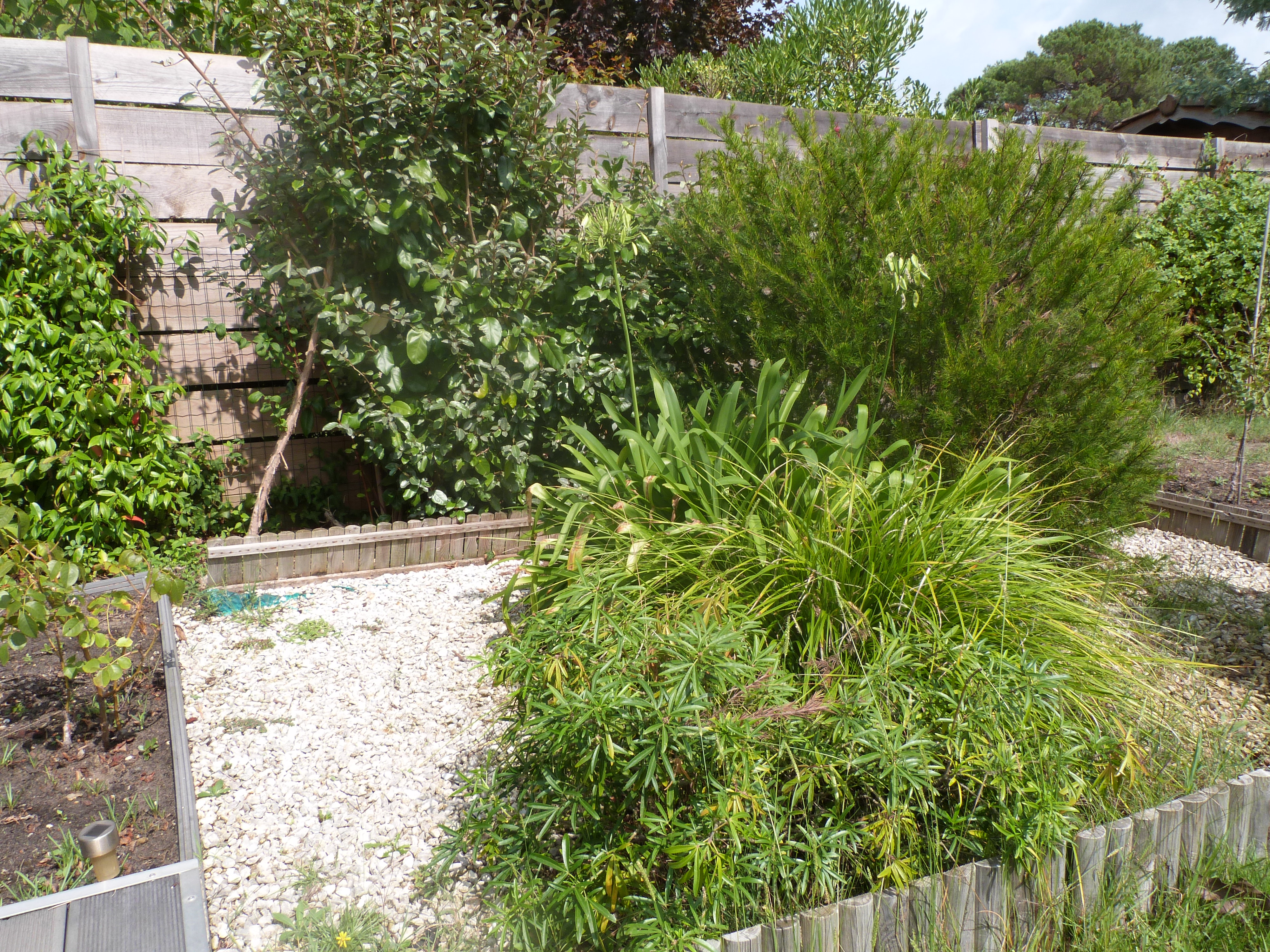 Au Bon Passage, Gujan-Mestras - photo 8