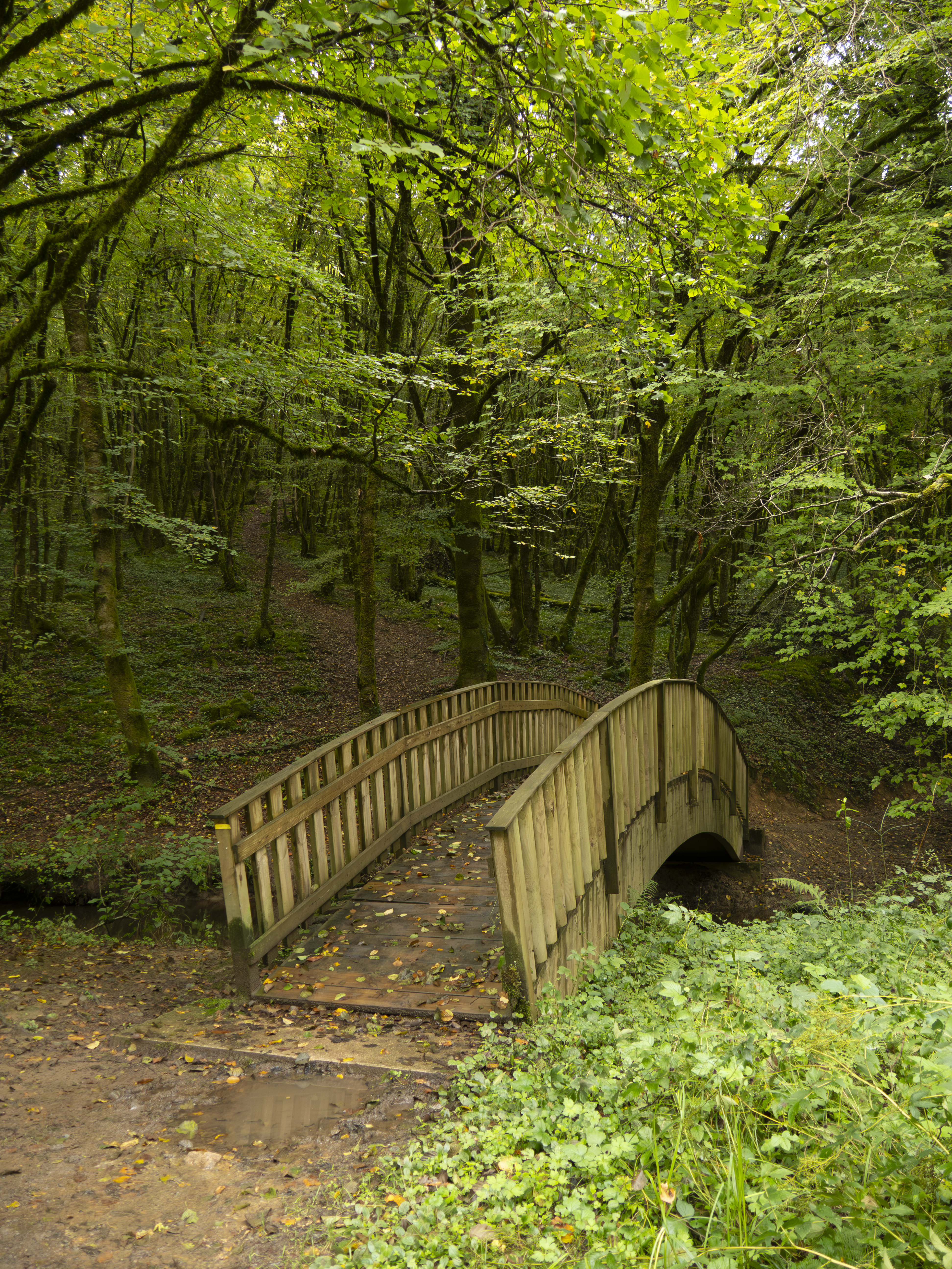 Circuit n°3 - Chemins des 3 Corrèzes, Saint-Clément - photo 2